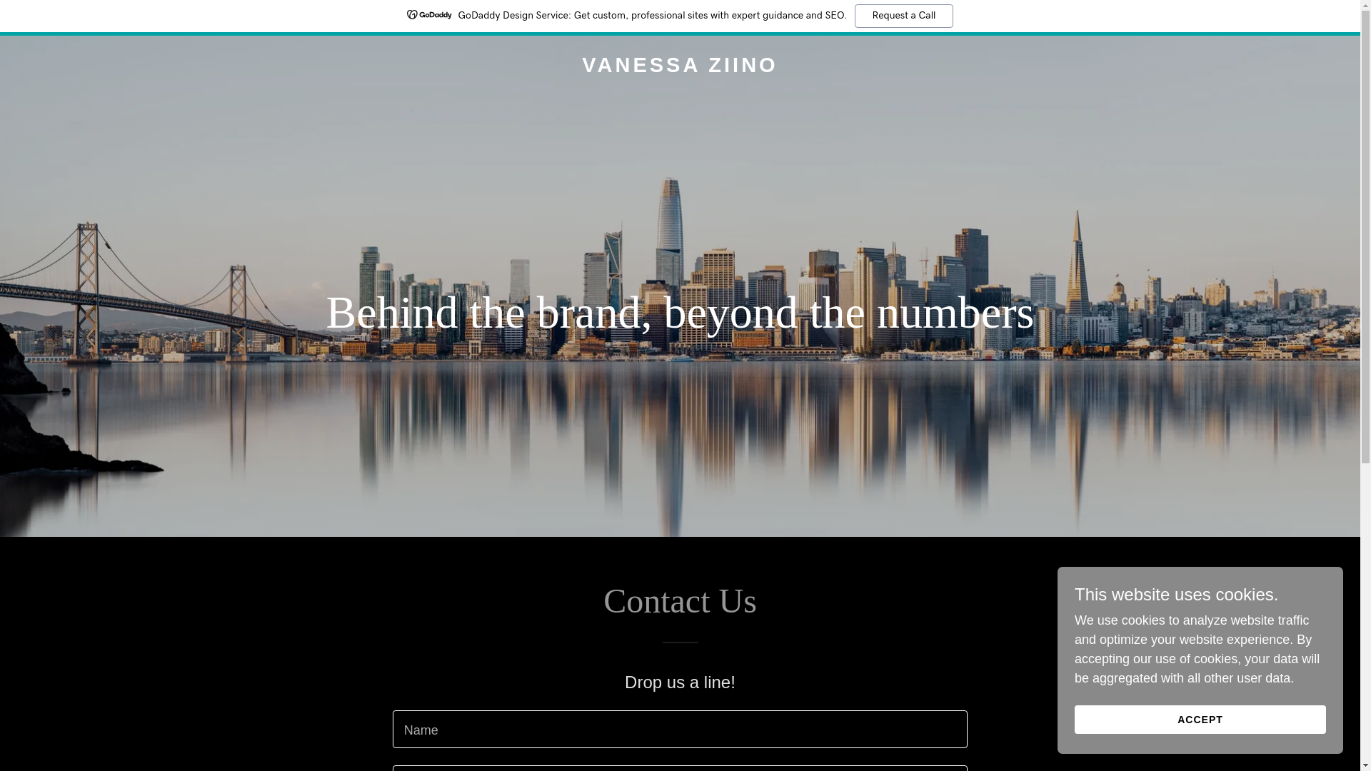 website screenshot of https://vanessaziino.com/