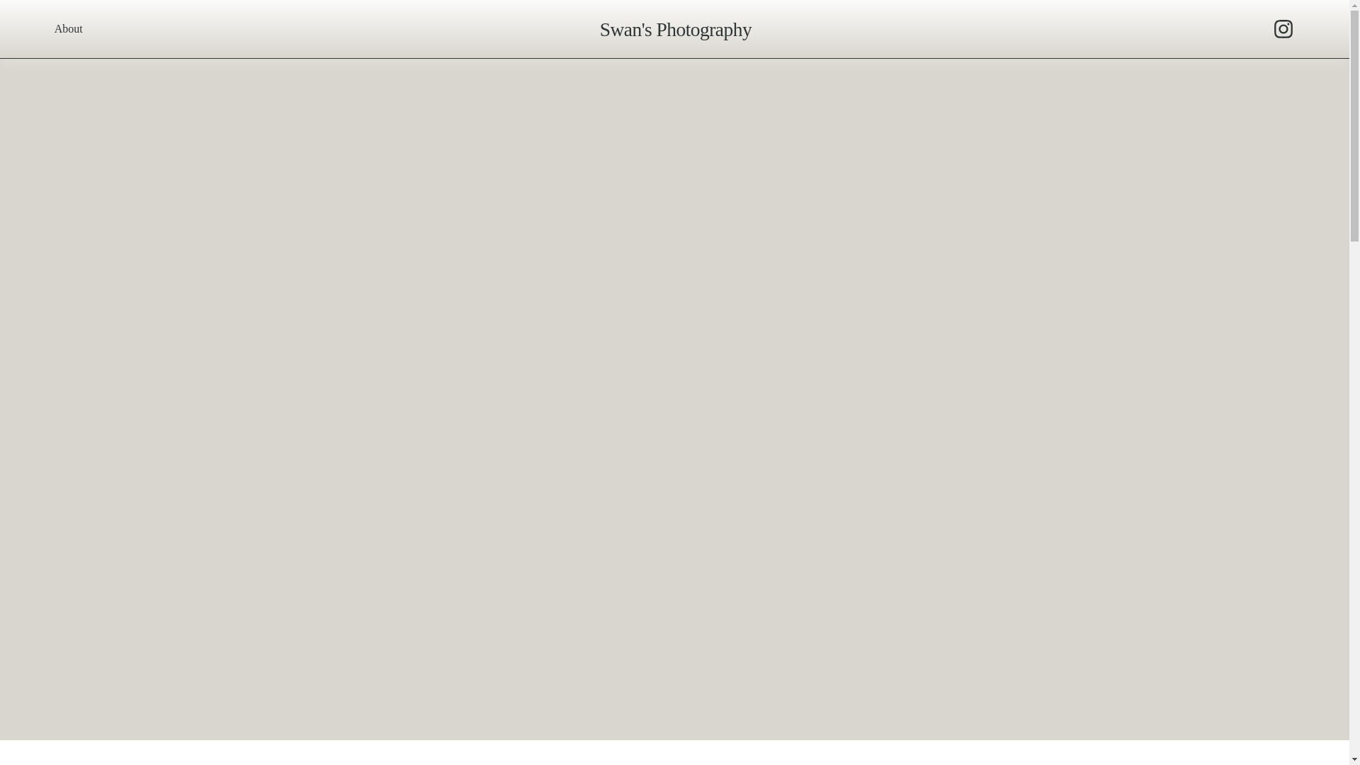website screenshot of https://swans-photography.com/