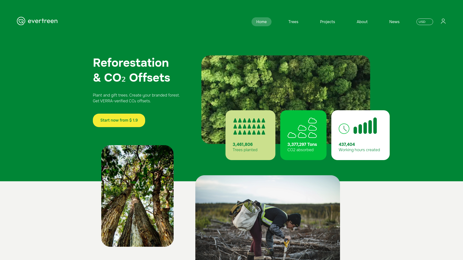website screenshot of https://evertreen.com/