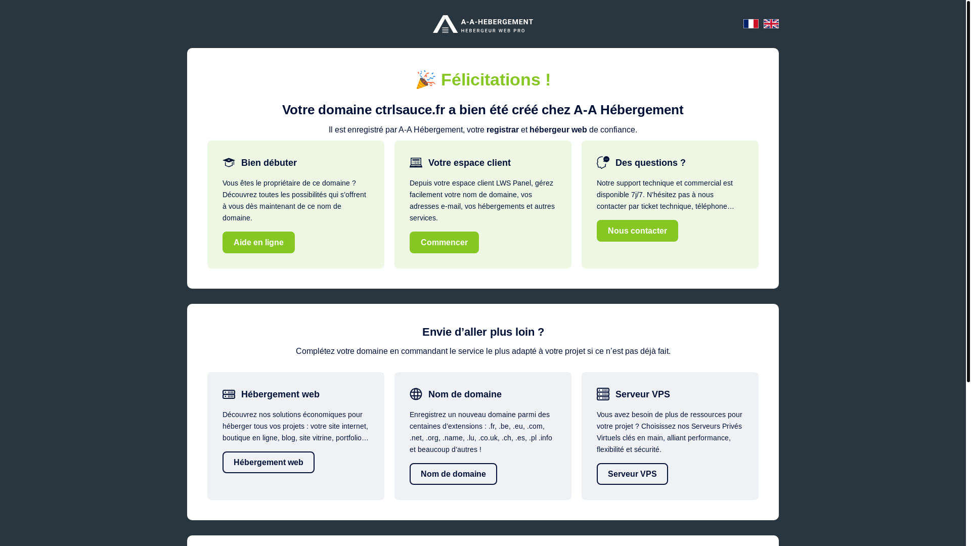 website screenshot of https://ctrlsauce.fr/