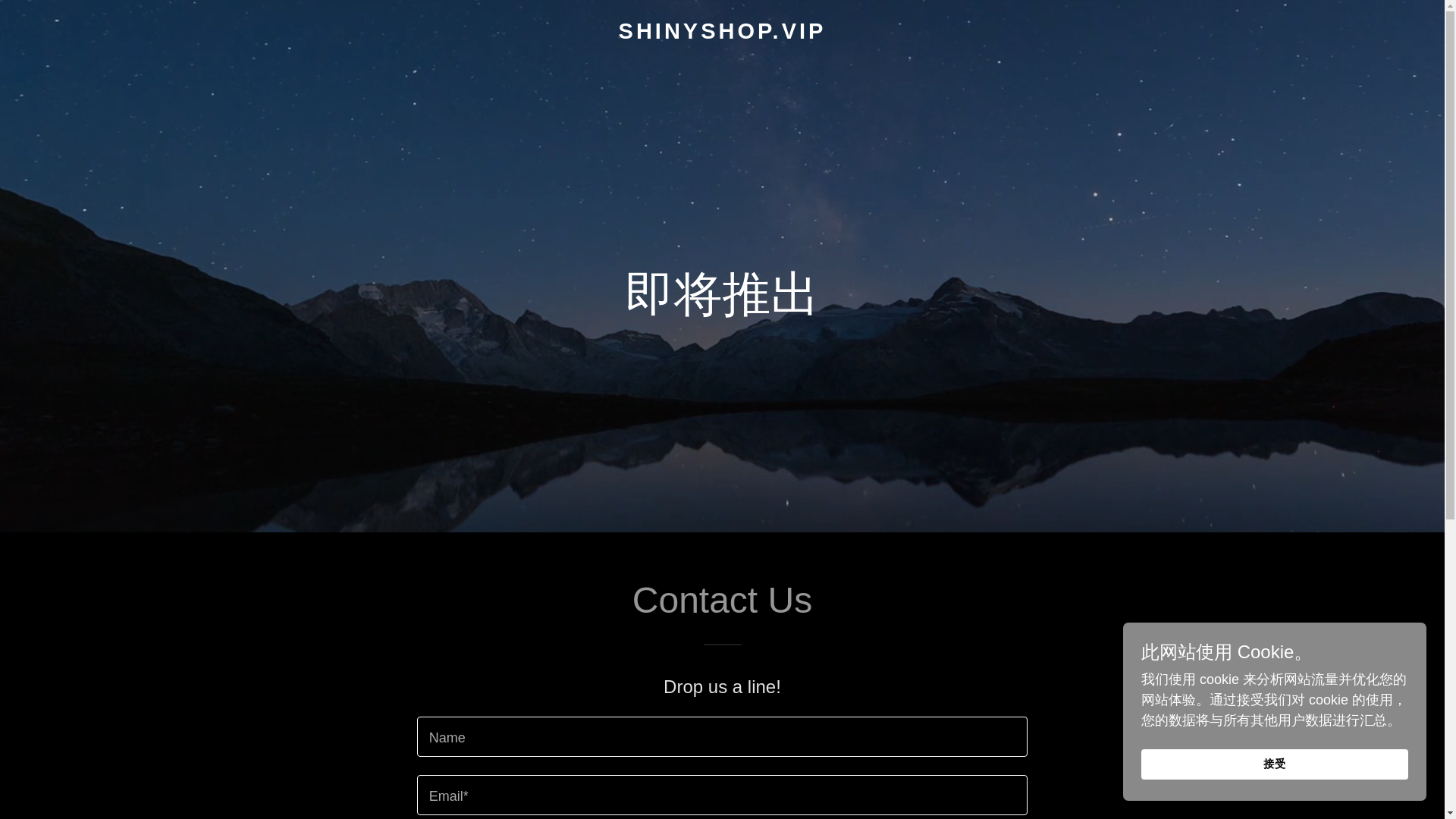 website screenshot of https://shinyshop.vip/