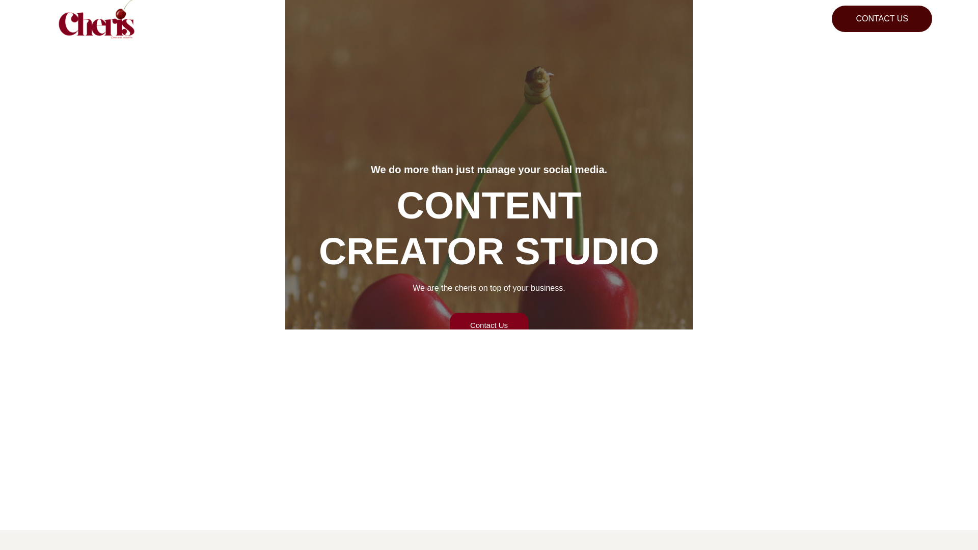 website screenshot of https://cherisstudio.com/