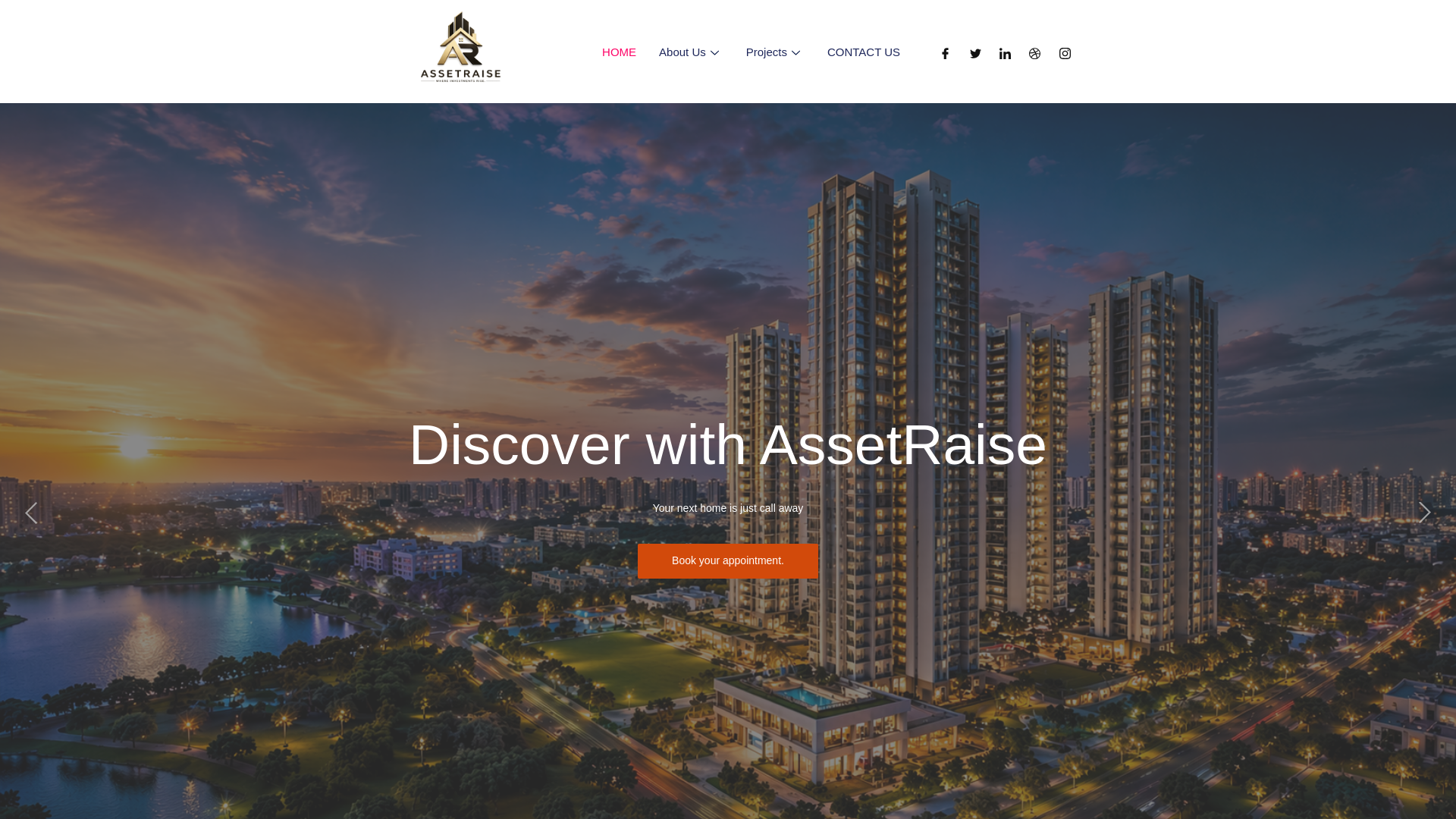 website screenshot of https://assetraise.in