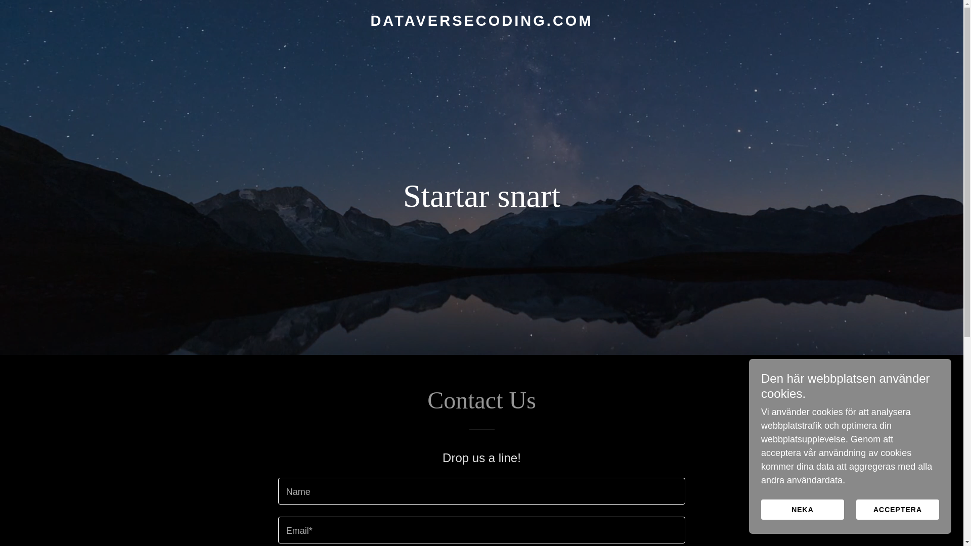 website screenshot of https://dataversecoding.com/