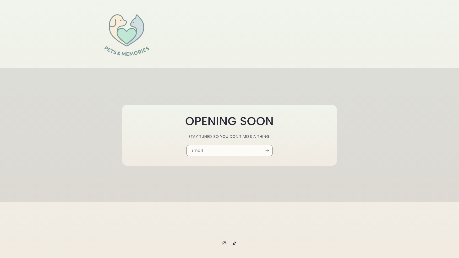 website screenshot of https://petsandmemories.pt/