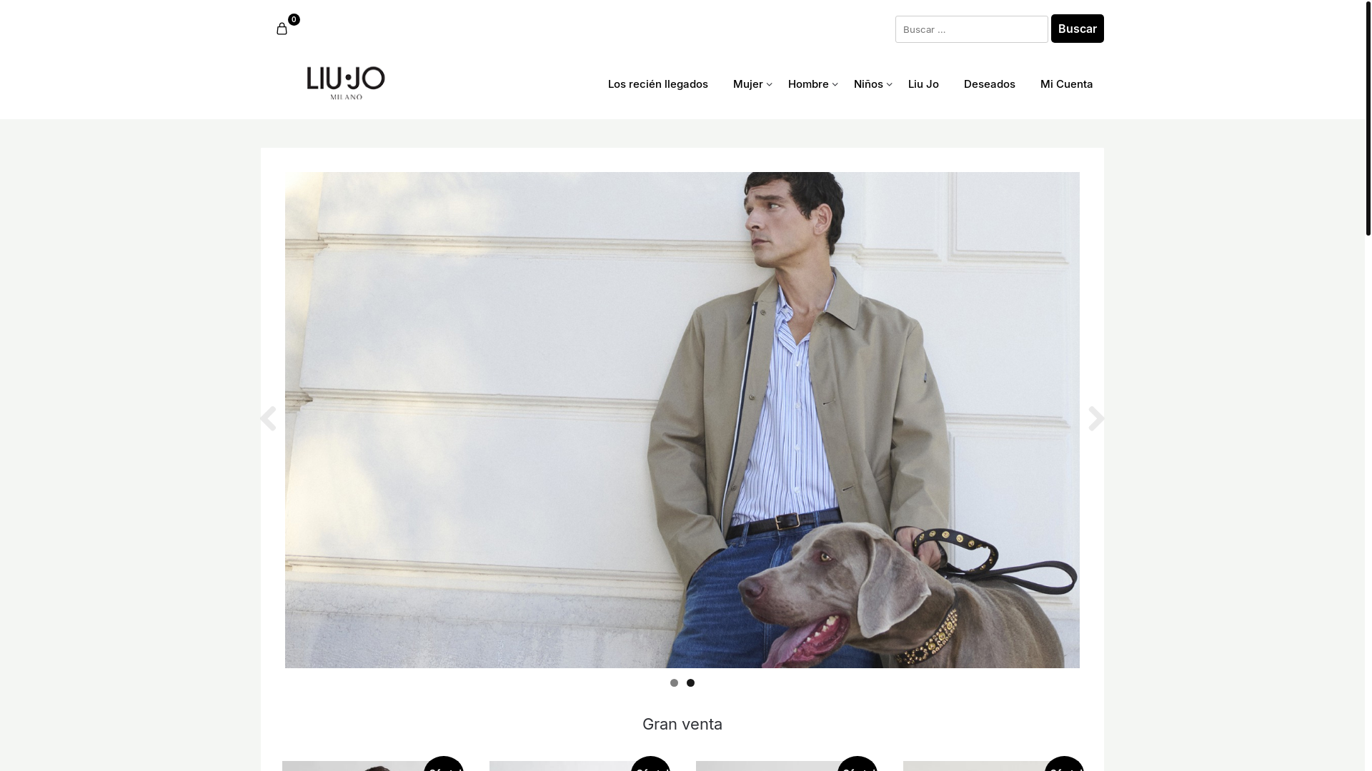 website screenshot of https://www.cynthiakannegiesser.shop/