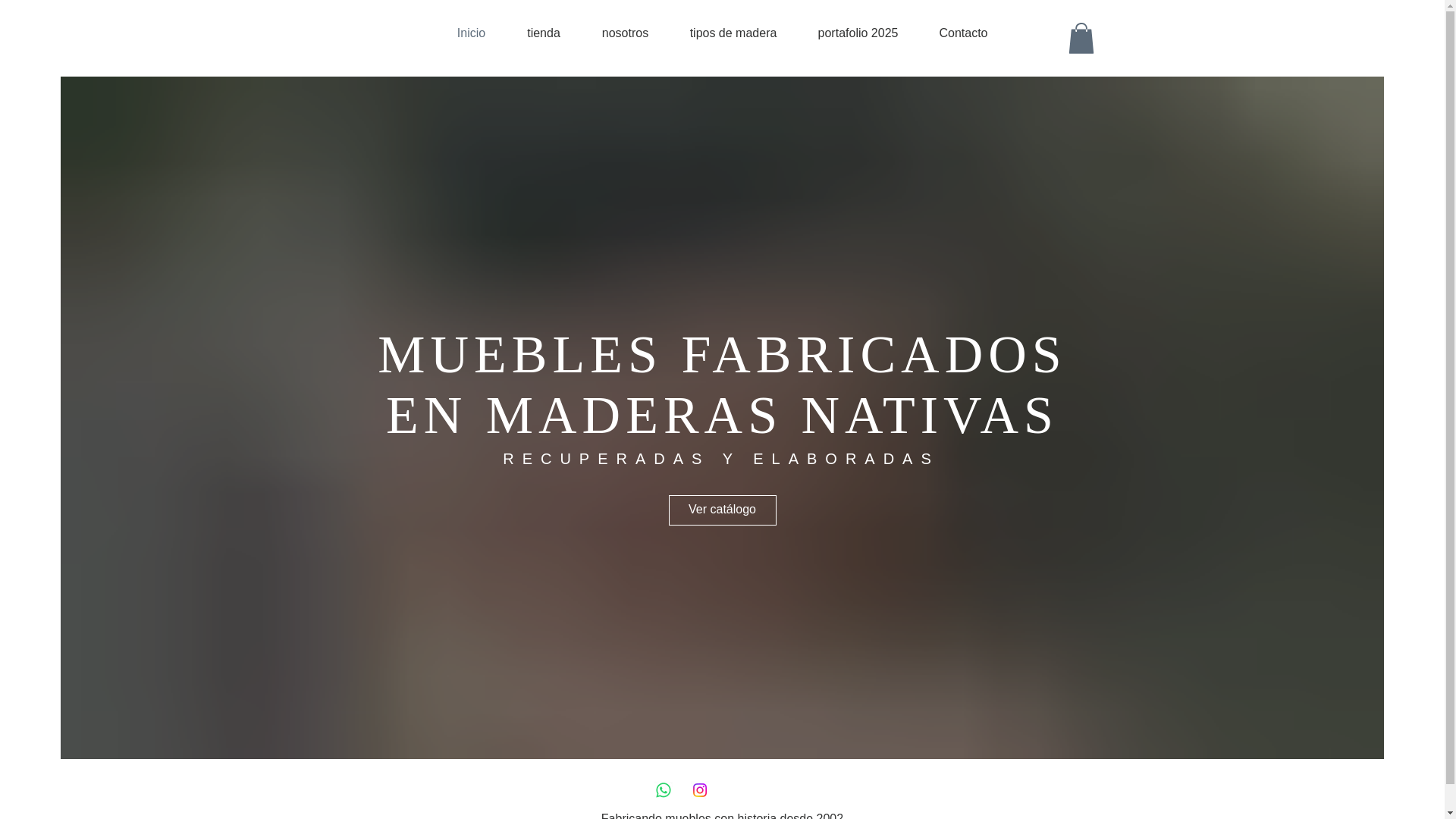 website screenshot of https://mueblespampaaustral.cl/