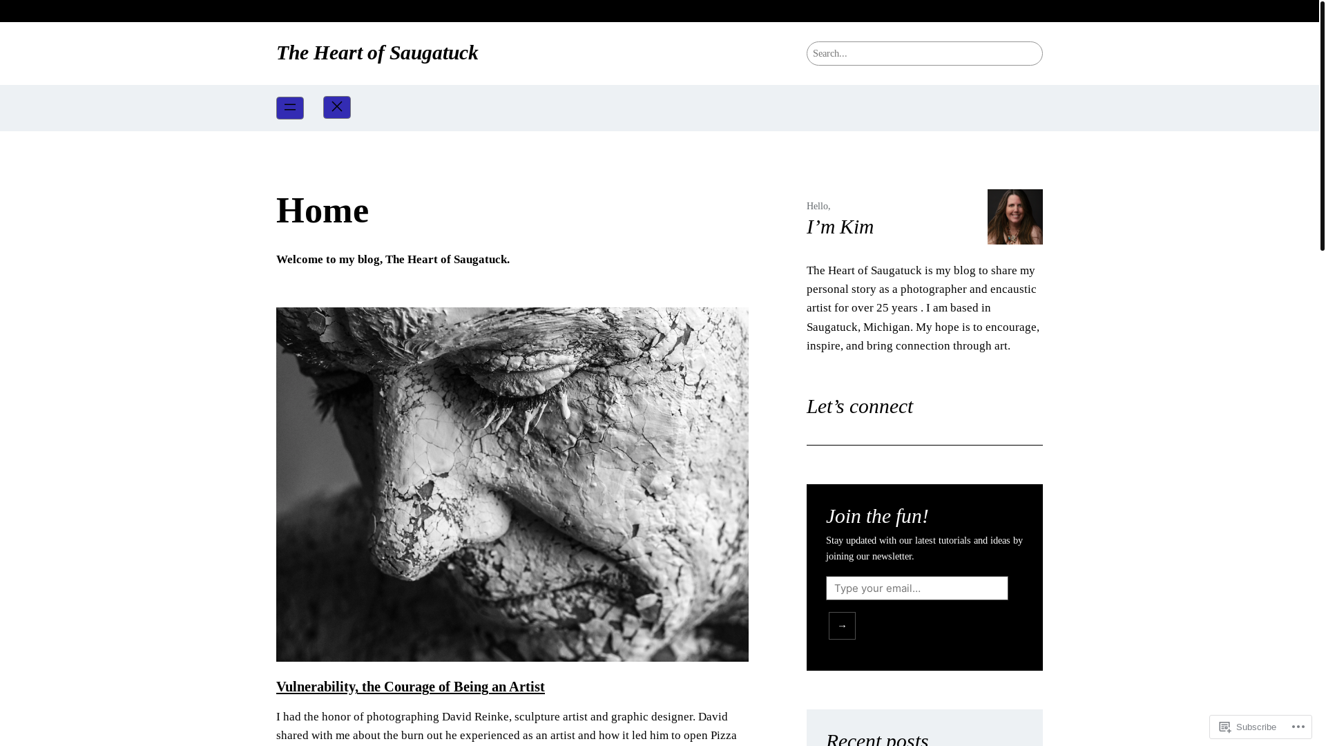 website screenshot of https://theheartofsaugatuck.blog/