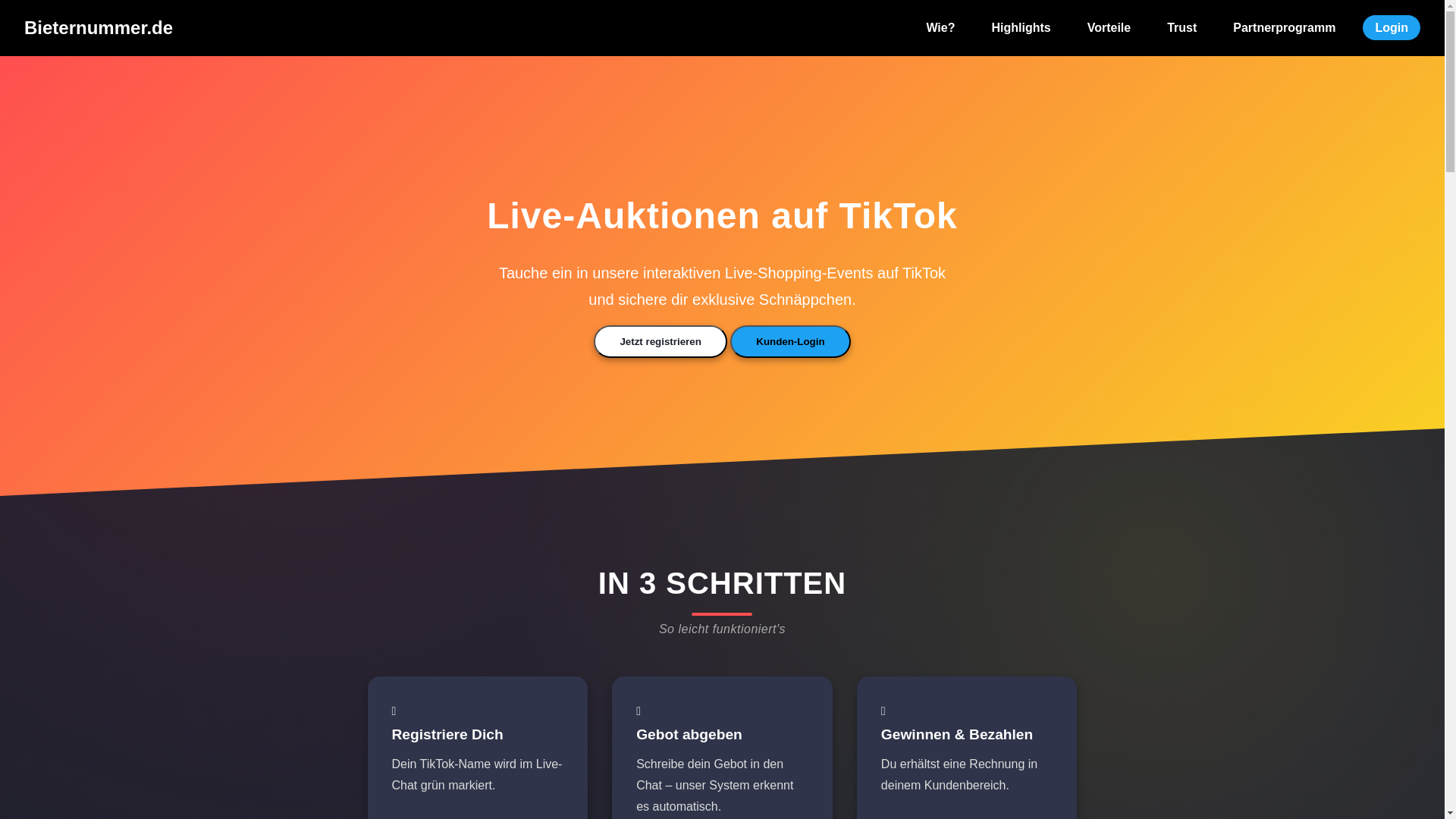 website screenshot of https://bieternummer-alt.de/