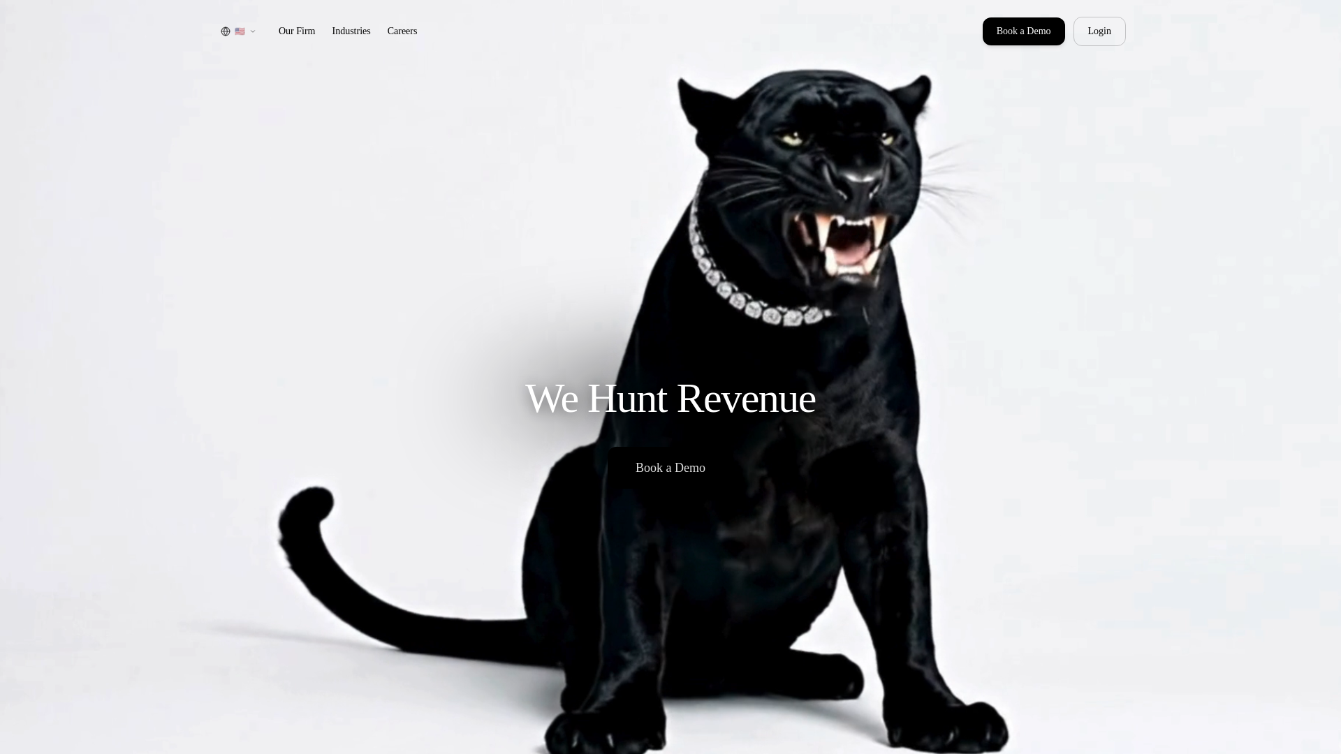 website screenshot of https://thedaluz.com/