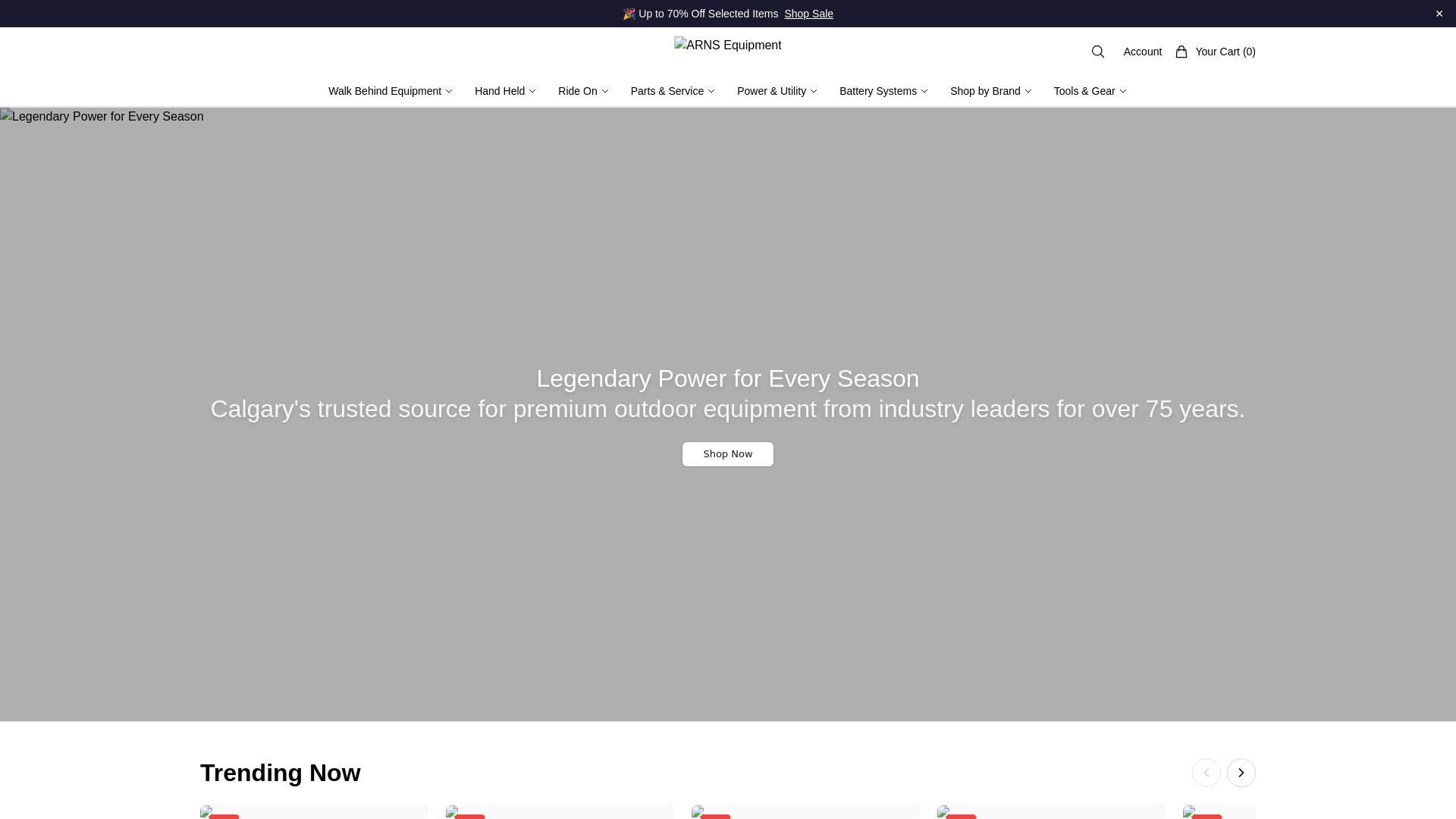 website screenshot of https://arnsequipmentco.shop/
