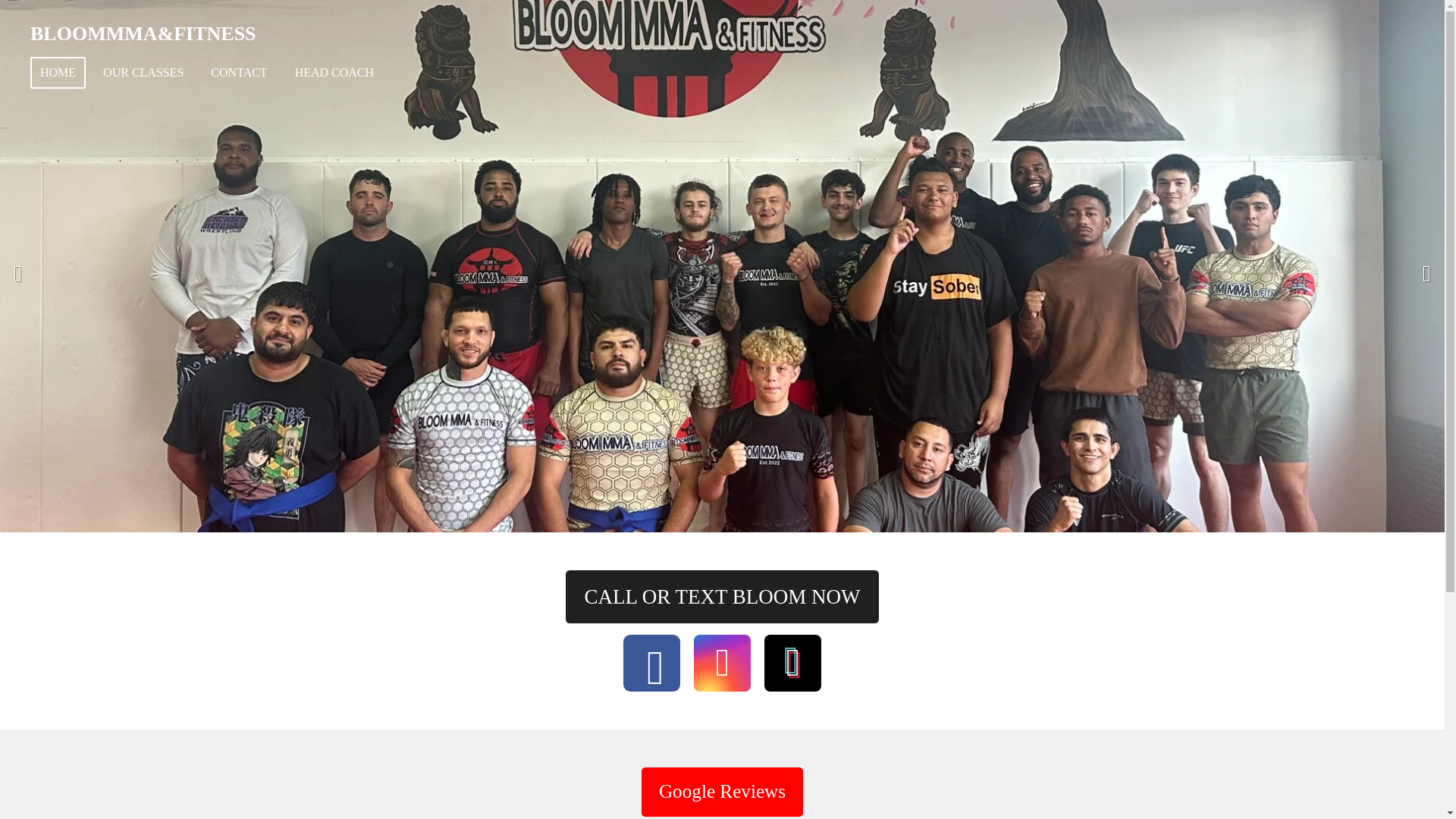 website screenshot of https://bloommma313.com/