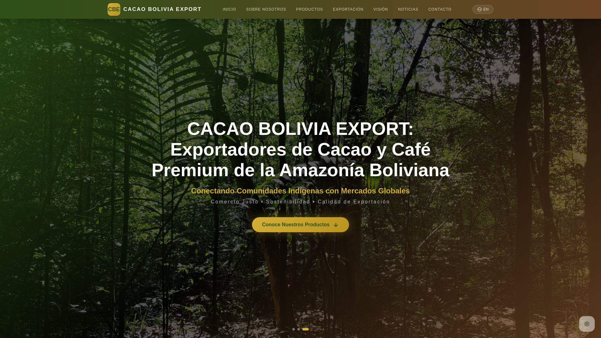 website screenshot of https://cacaoboliviaexport.com/