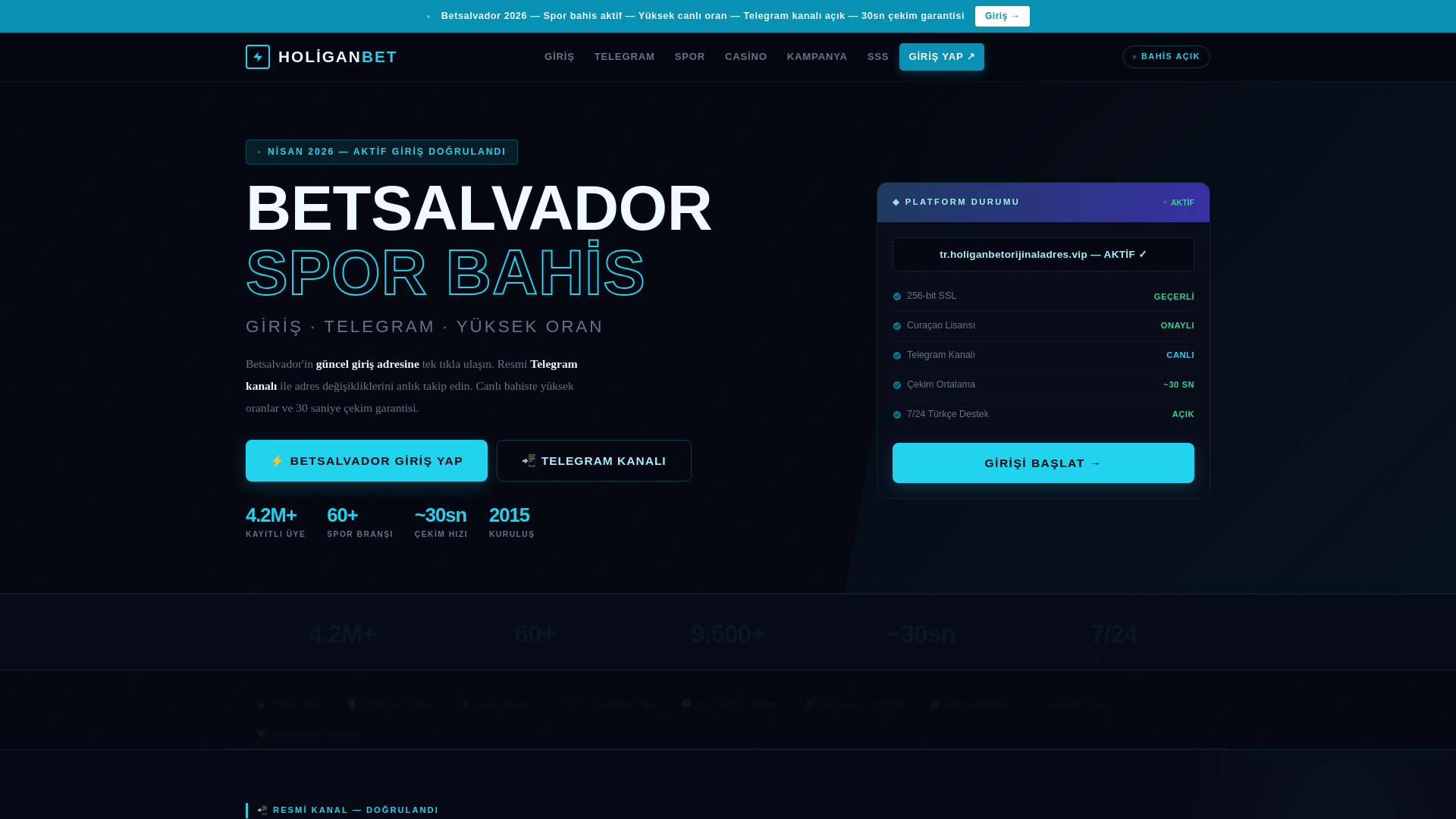 website screenshot of https://tr.betsalvador-moneyaddress.vip
