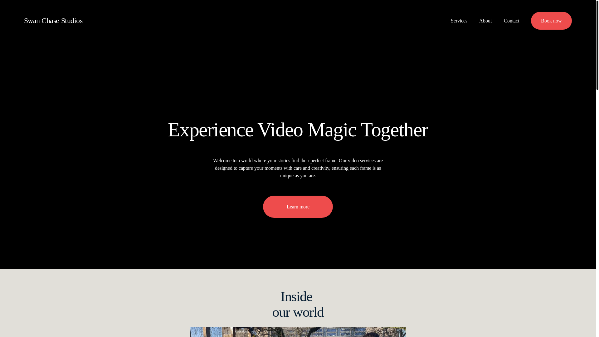 website screenshot of https://swanchasestudios.co.uk/
