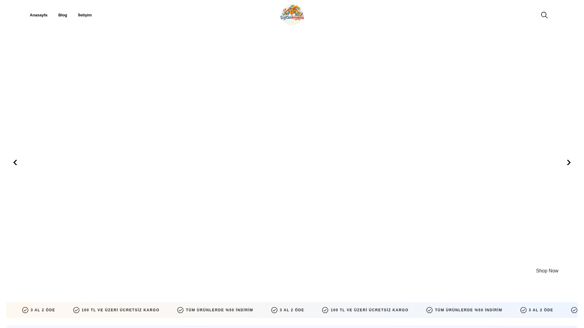 website screenshot of https://toptanboyama.com.tr/