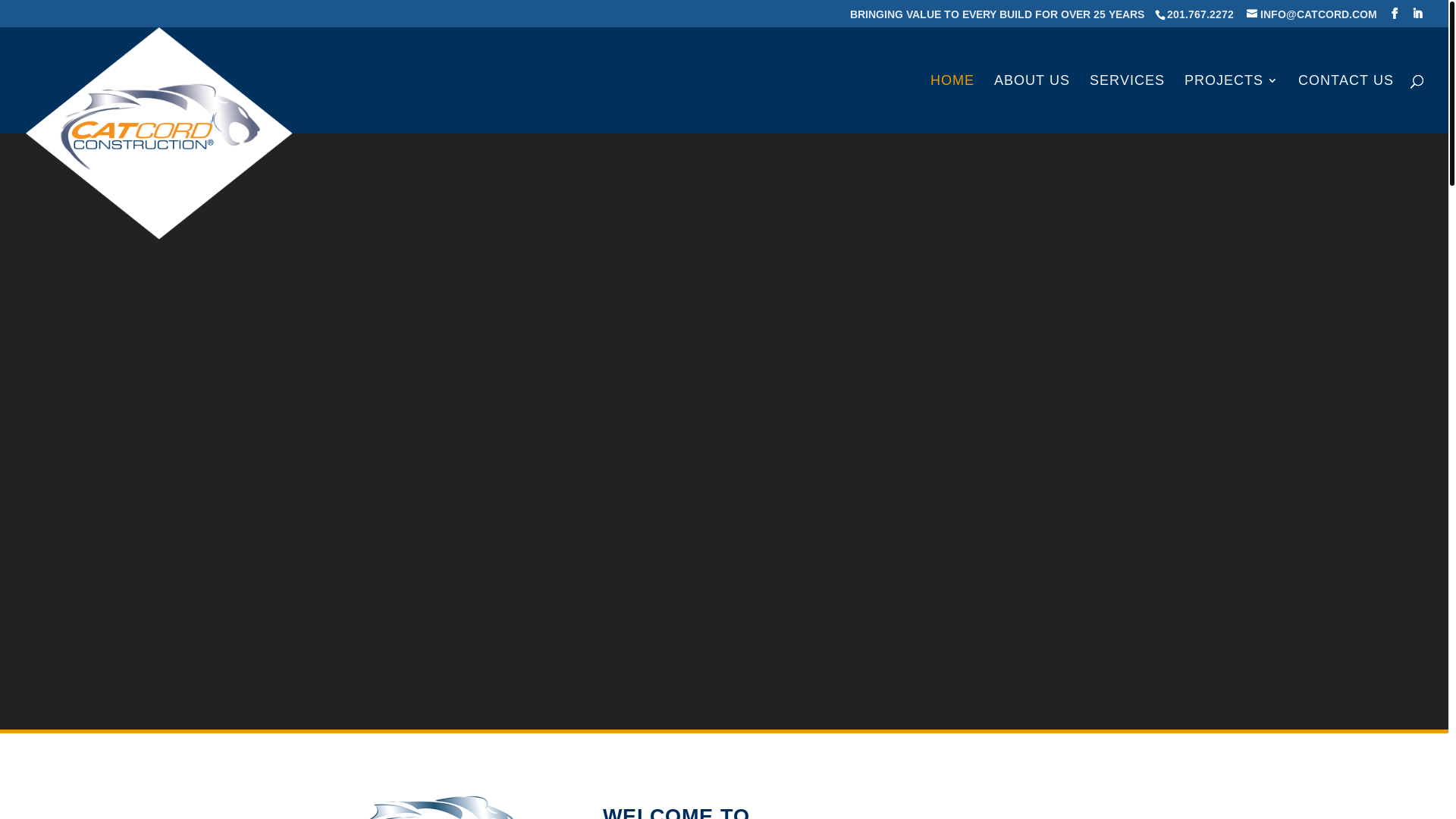 website screenshot of https://catcord.com/