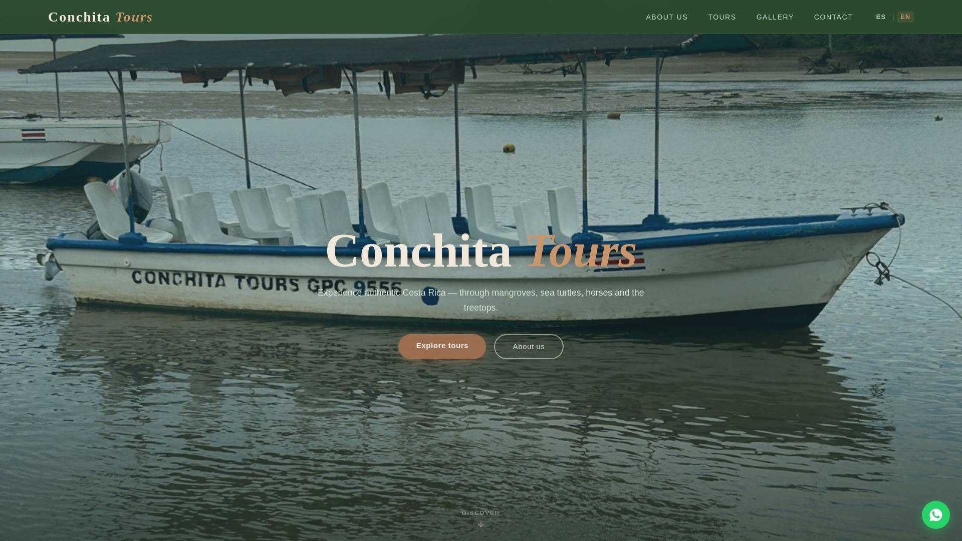 website screenshot of https://conchitatours.com/