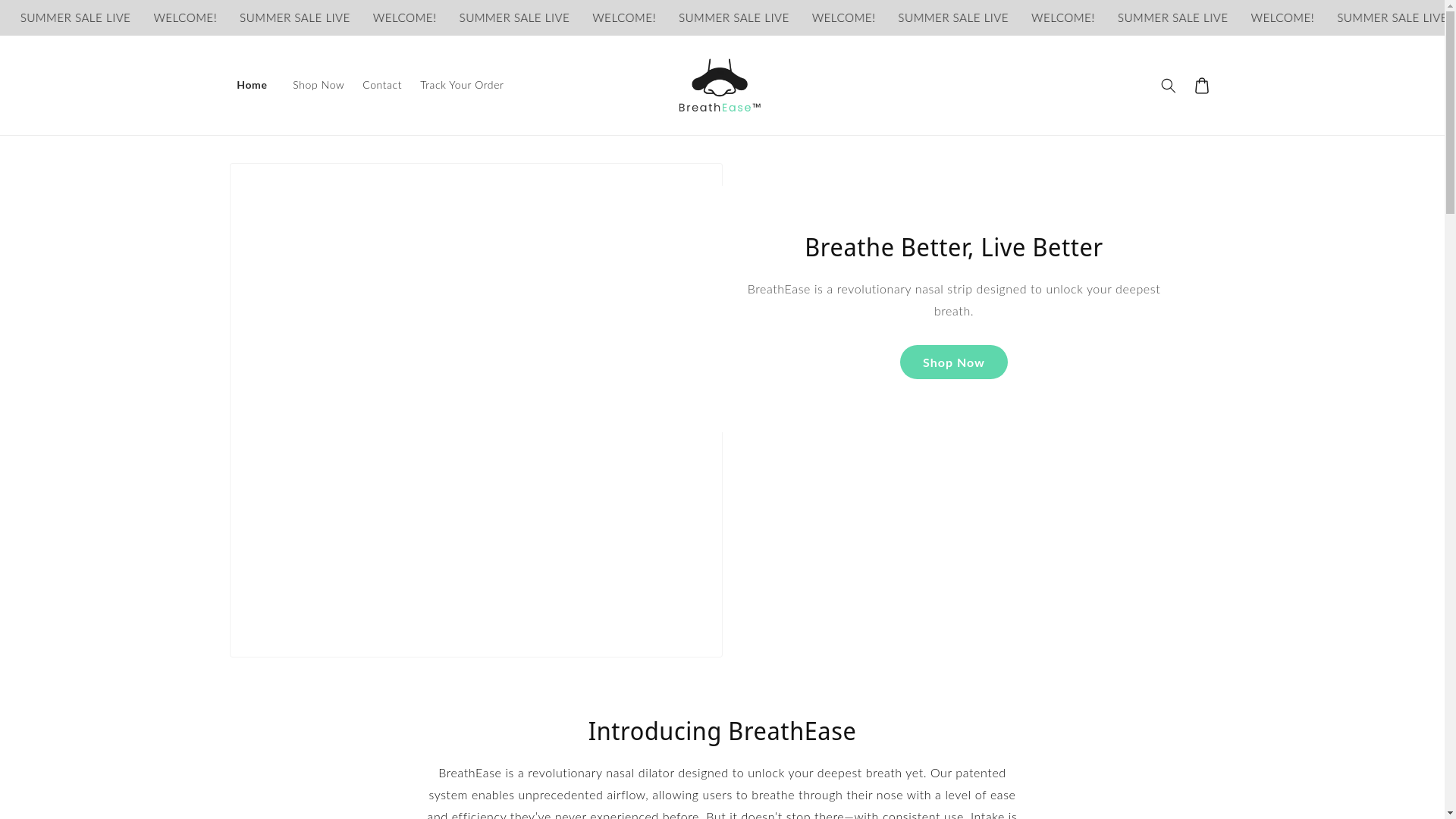 website screenshot of https://breatheaseco.com/