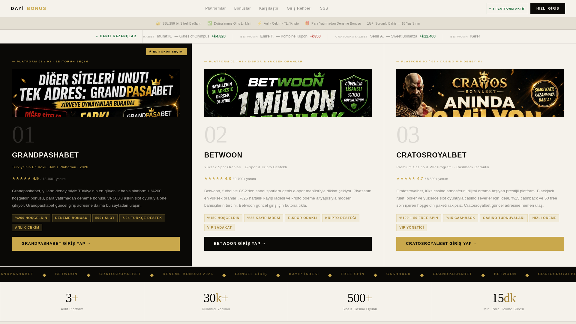 website screenshot of https://dayi.kayitliadreslerburasi.xyz/