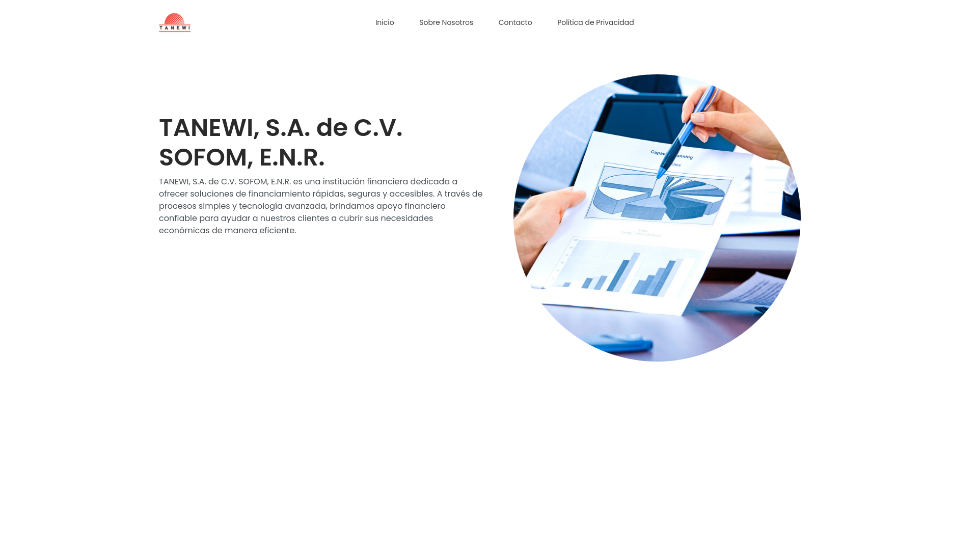 website screenshot of https://tanewisofom.com/