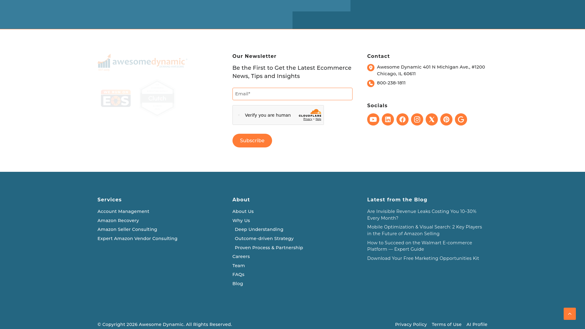 website screenshot of https://awesomedynamicpluspro.info/