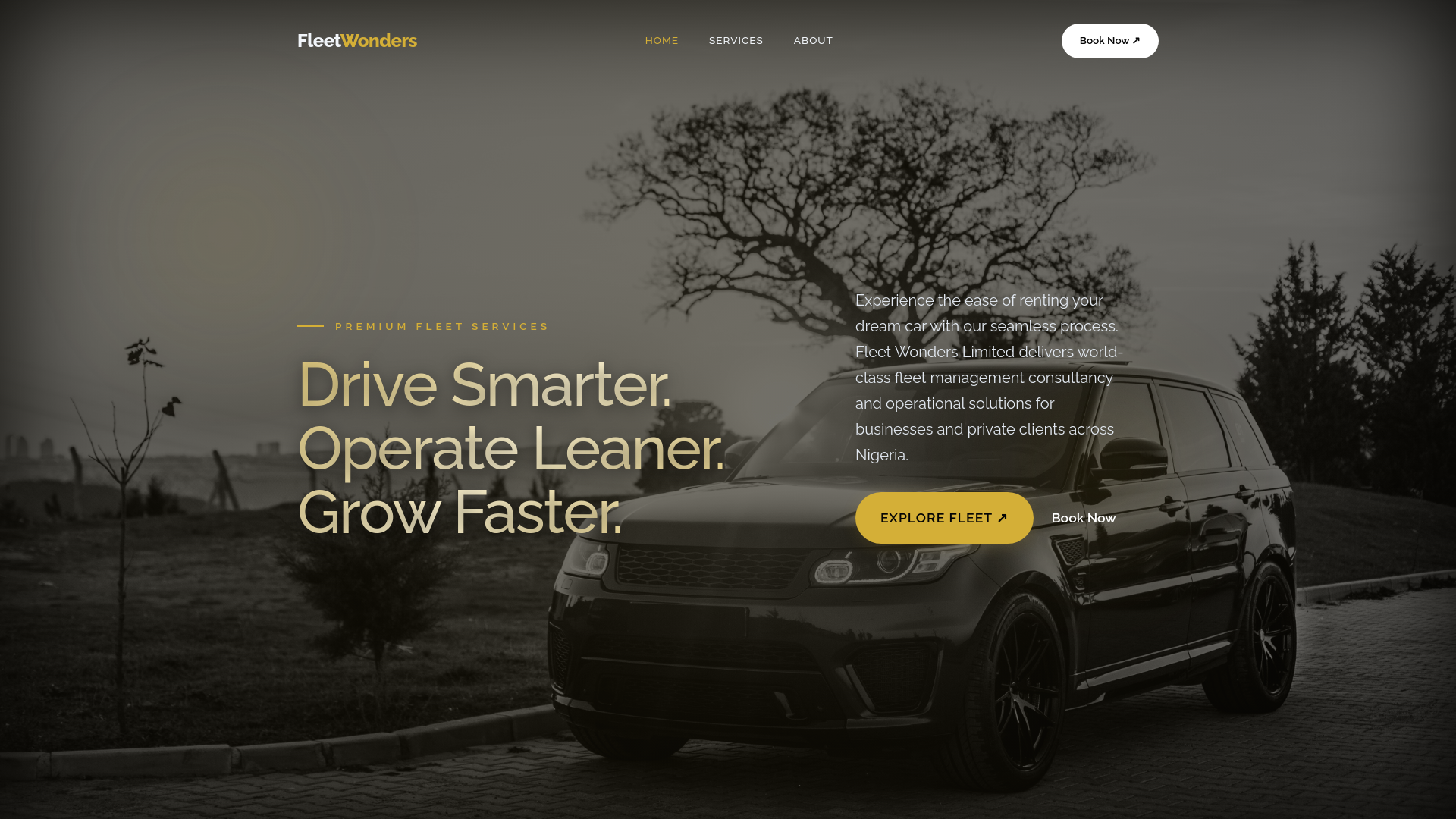 website screenshot of https://fleetwonders.com/