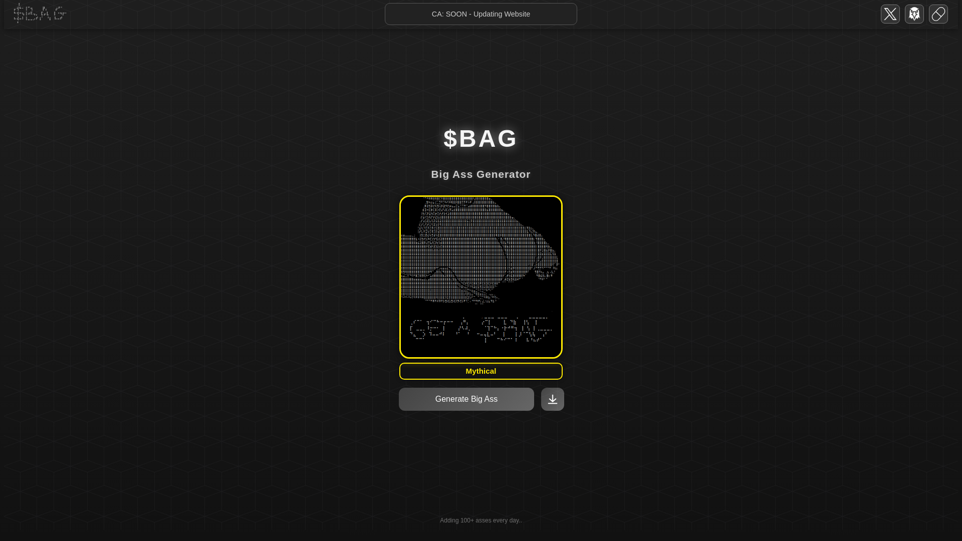 website screenshot of https://bagsolana.com/