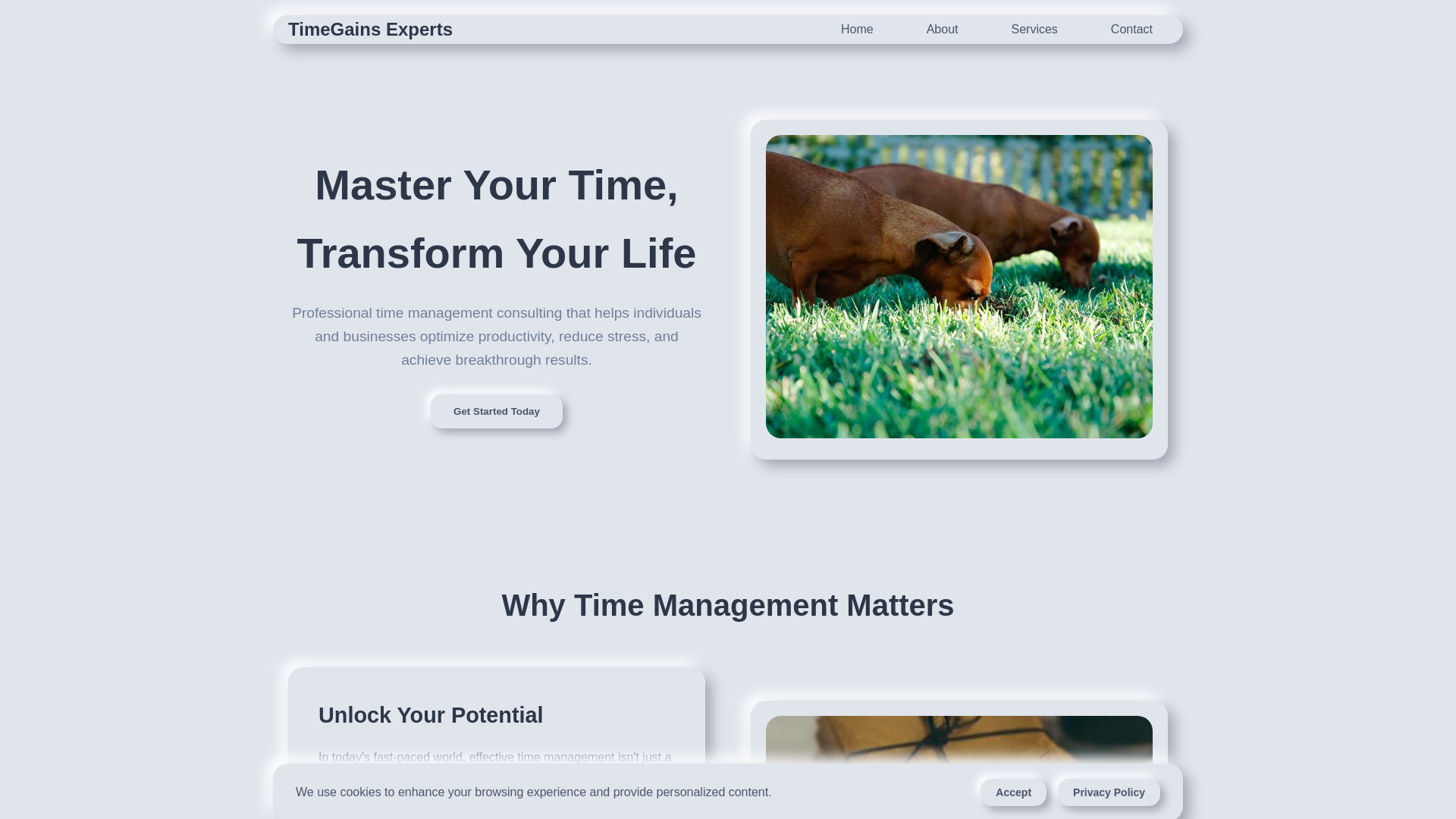 website screenshot of https://timegainsexperts.digital/