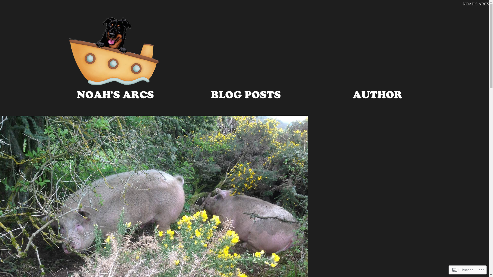 website screenshot of https://barbaraushernoahsarcs.com/