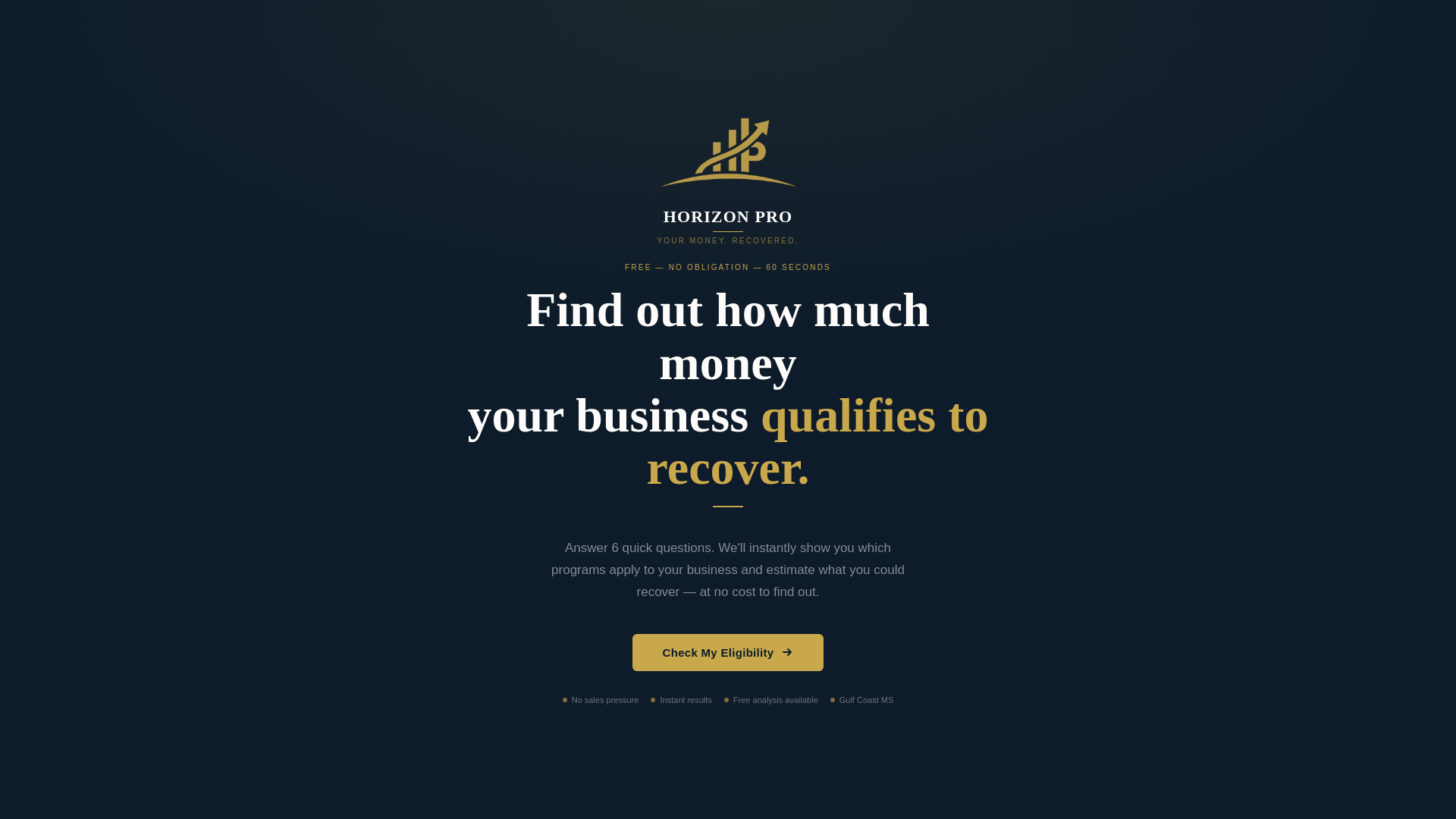 website screenshot of https://hrznpro.com/