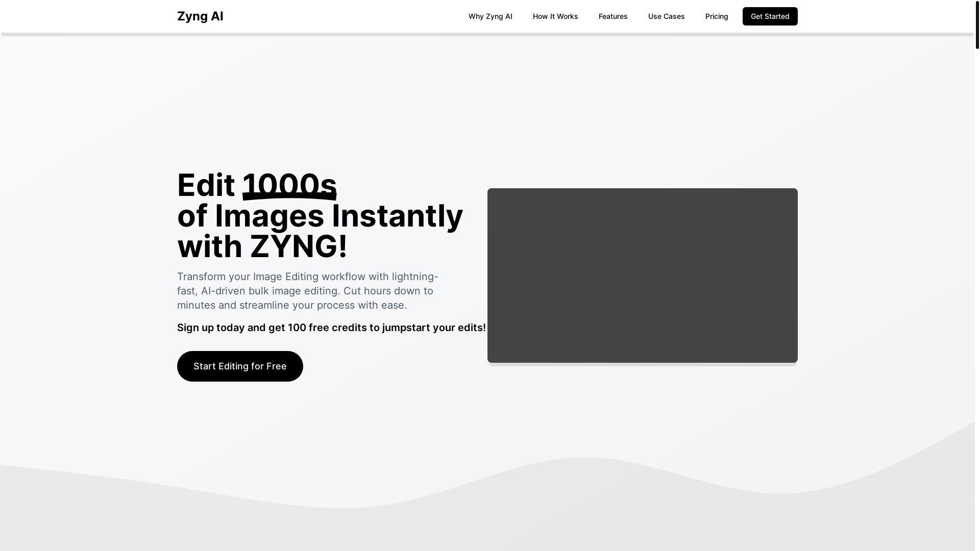 website screenshot of https://zyngnewlandingpage.pages.dev/
