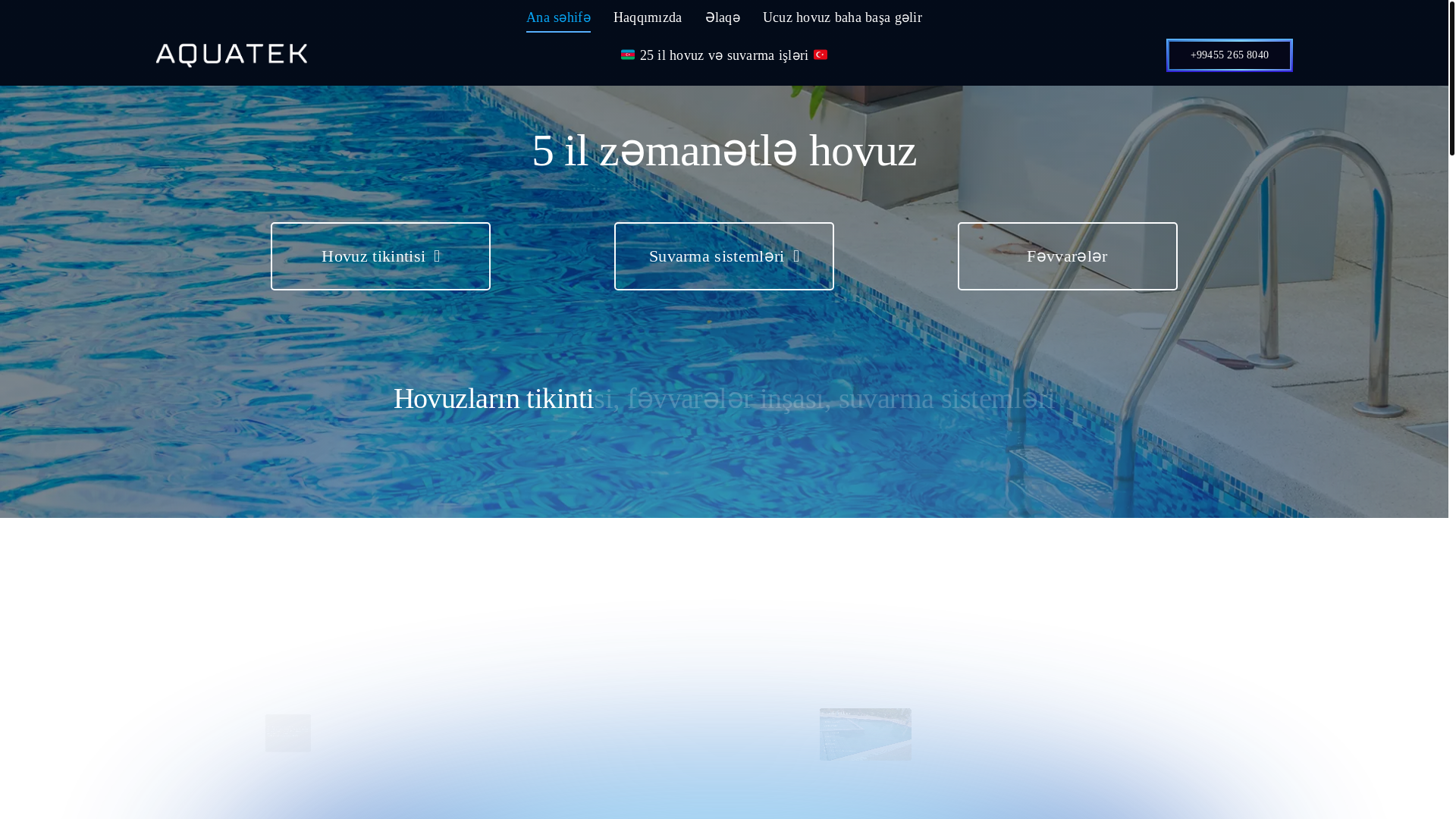 website screenshot of https://brandzade.az/