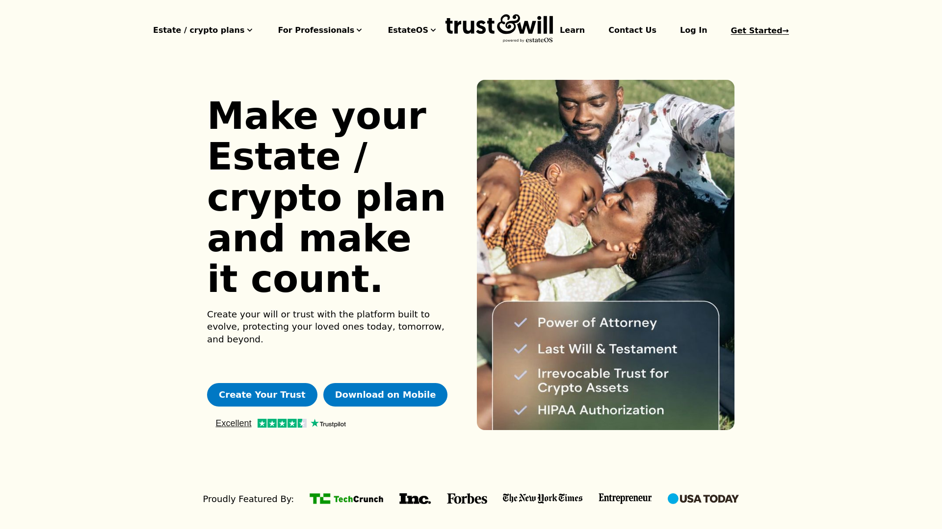 website screenshot of https://trustandwils.group/