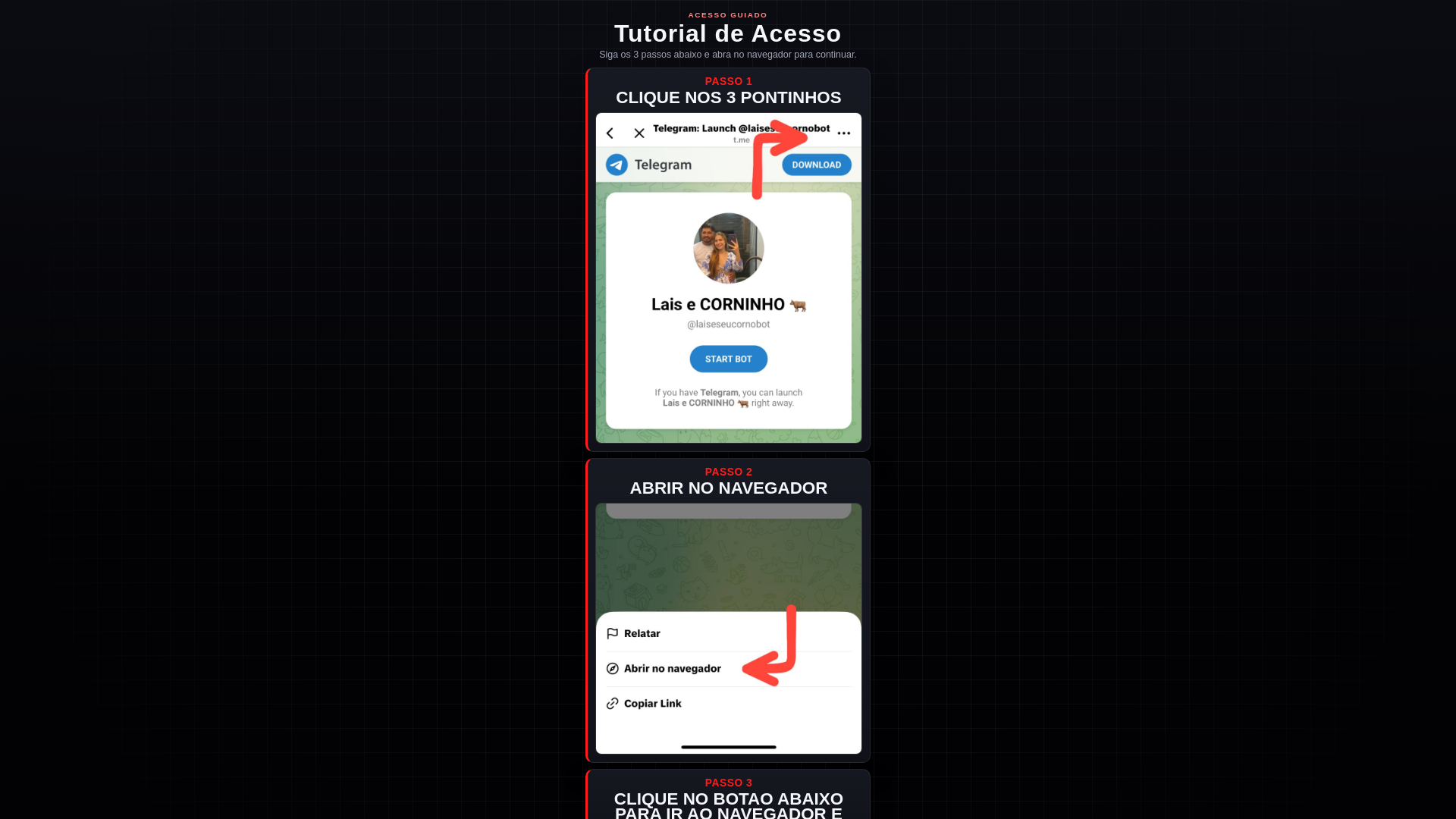 website screenshot of https://laisethiago.pages.dev/