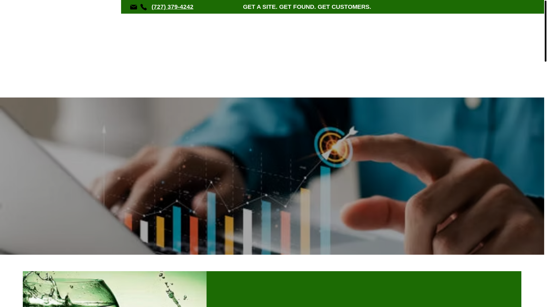 website screenshot of https://greenphoenixsbg.com/