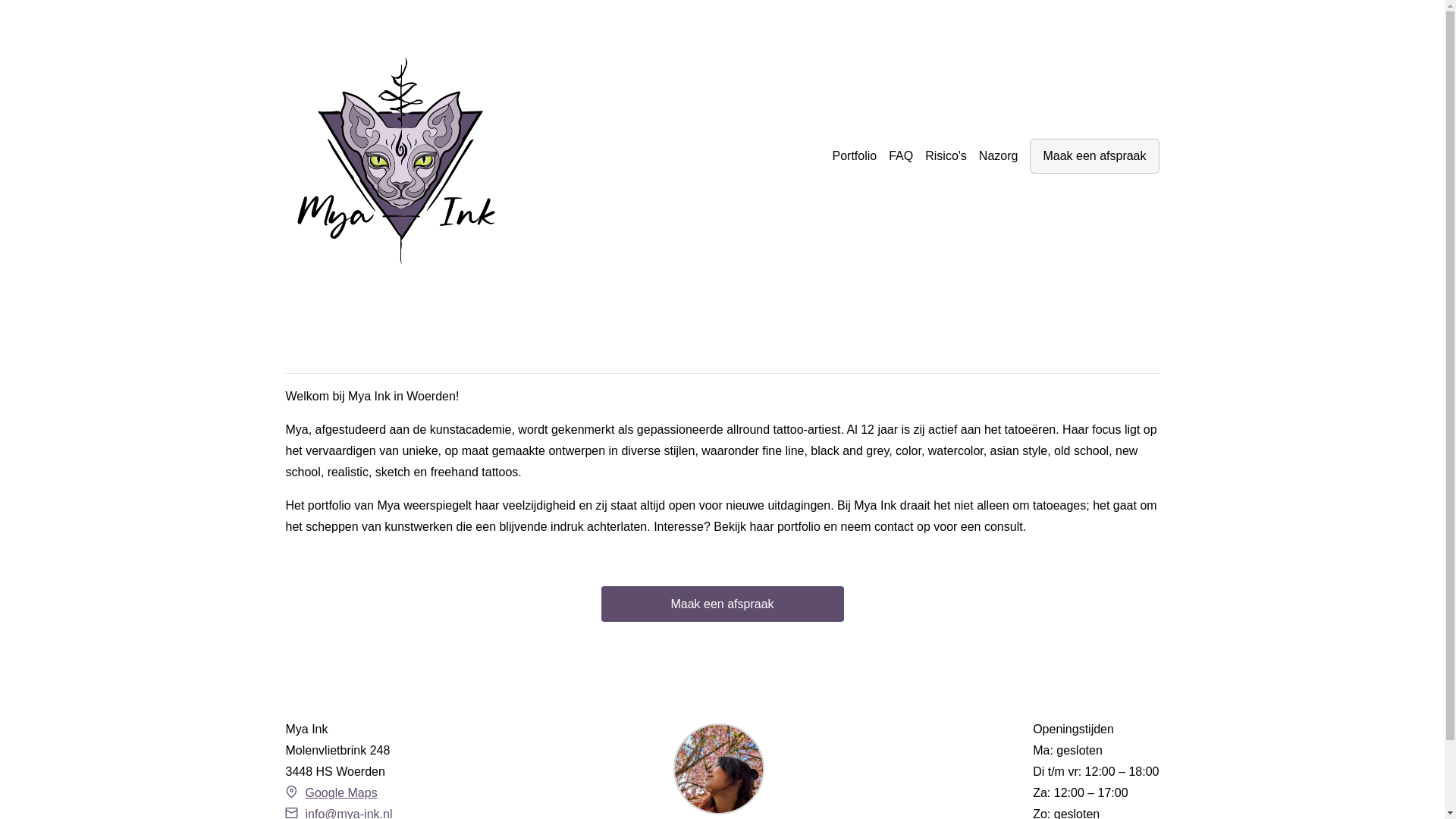 website screenshot of https://mya-ink-ssg.pages.dev/