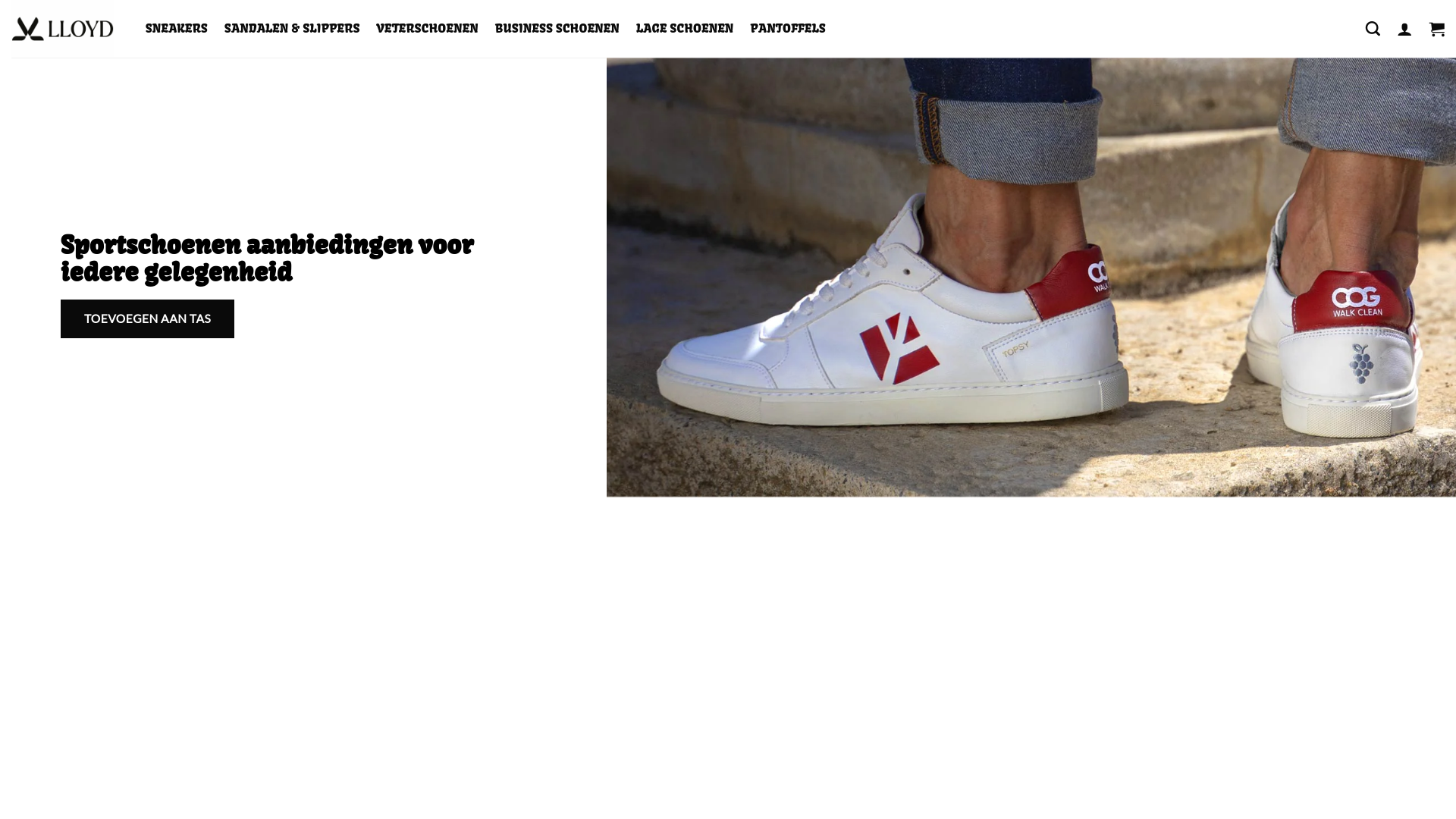 website screenshot of https://lloydverkaufe.com/