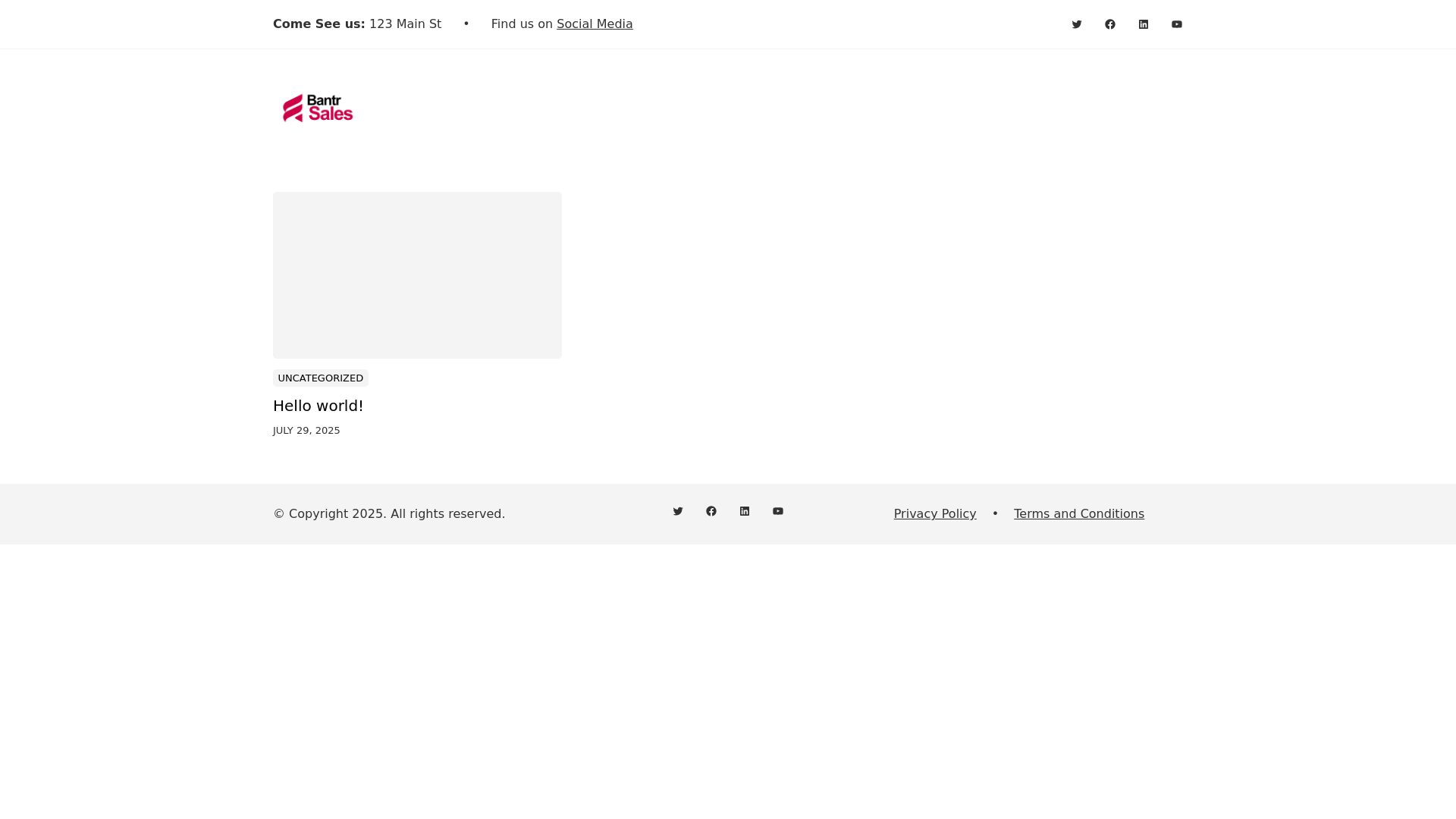 website screenshot of https://bantrsales.com/