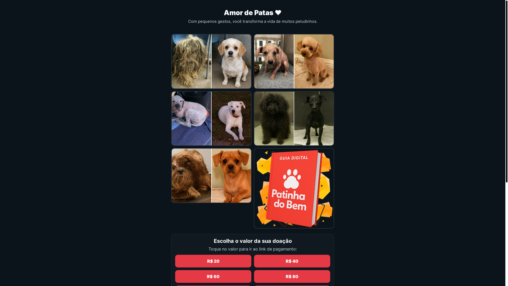 website screenshot of https://amordepatas.online/