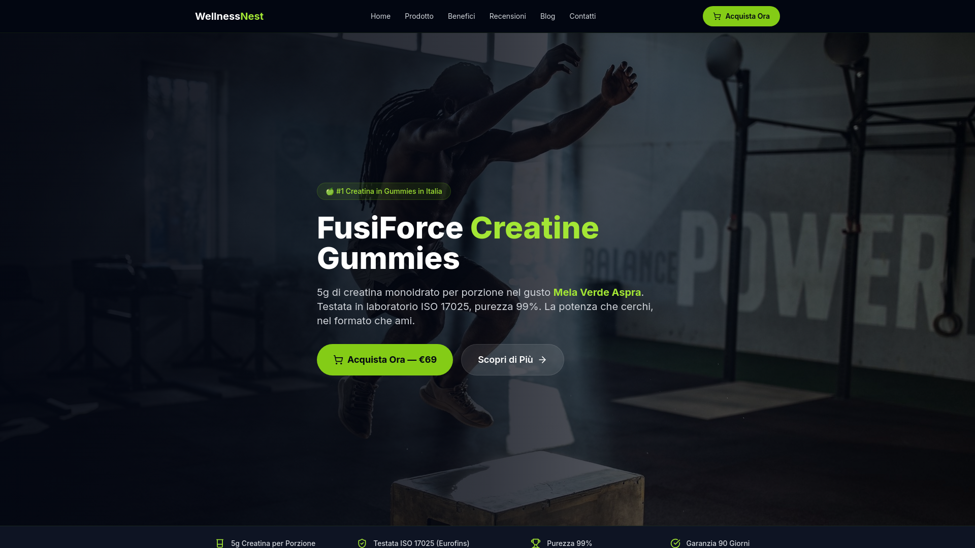 website screenshot of https://wellnessnest-it.co/