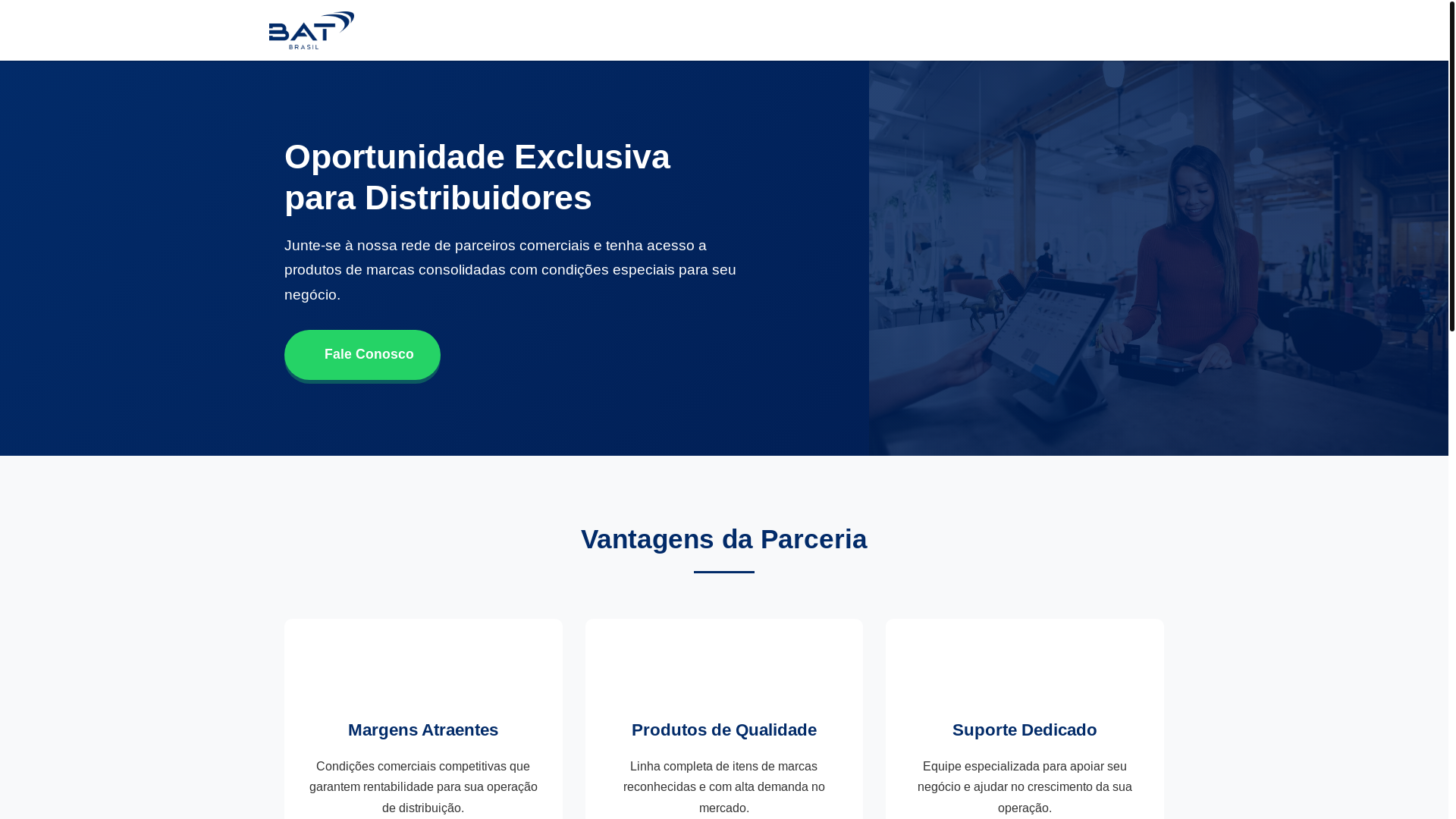website screenshot of https://fornecimentobat.online/
