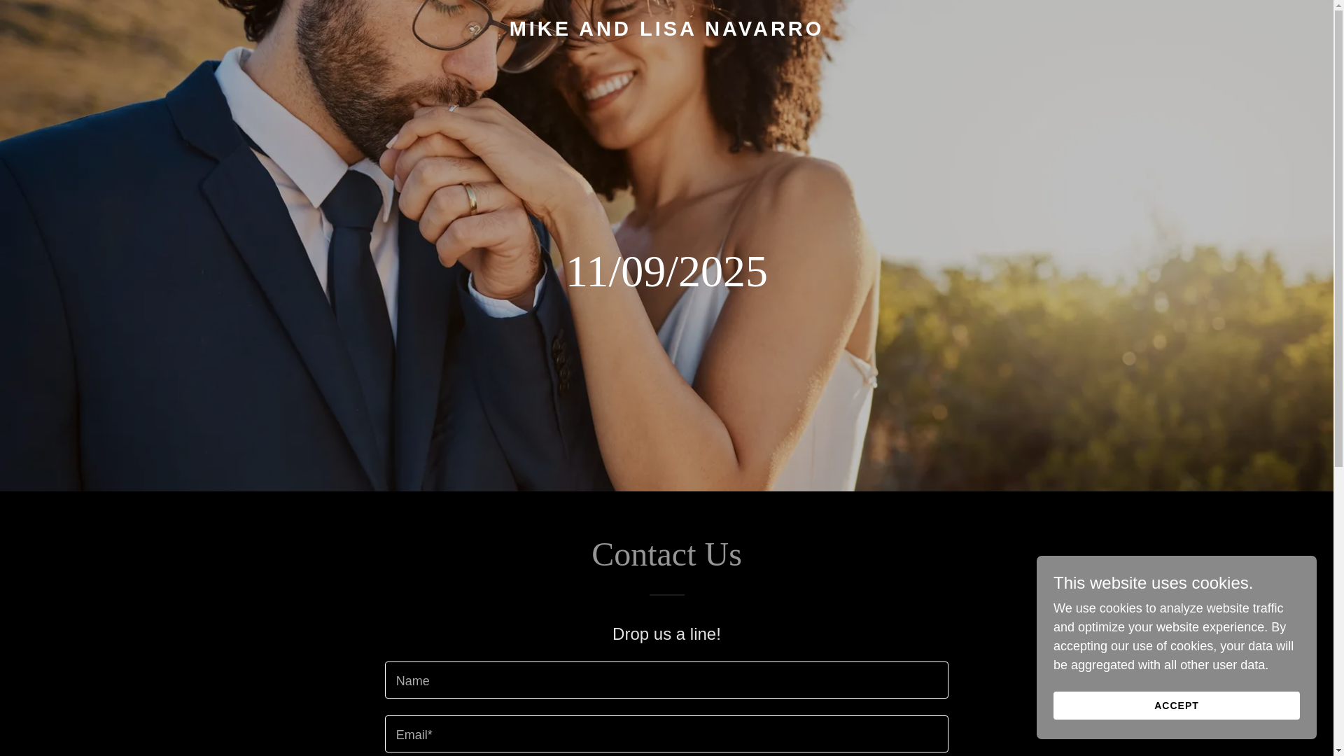 website screenshot of https://mikeandlisanavarro.com/