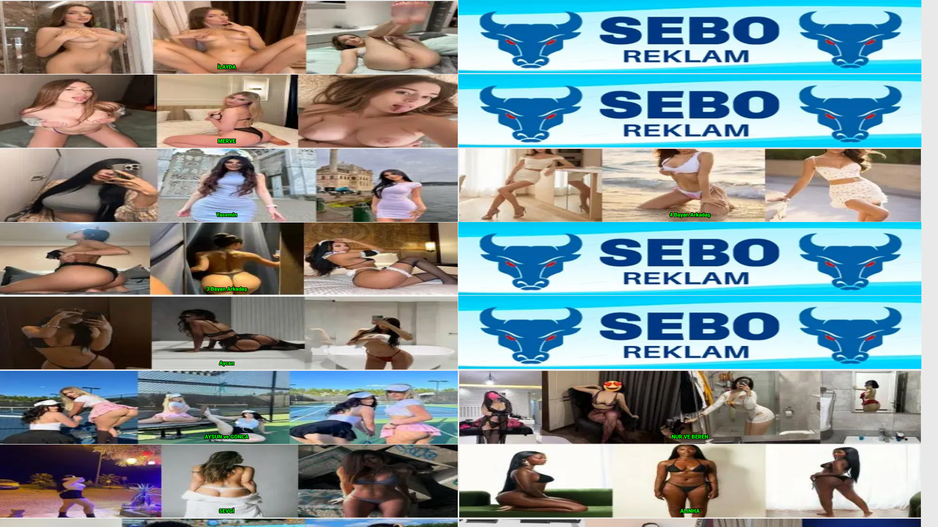 website screenshot of https://kayserireklamvere.store/