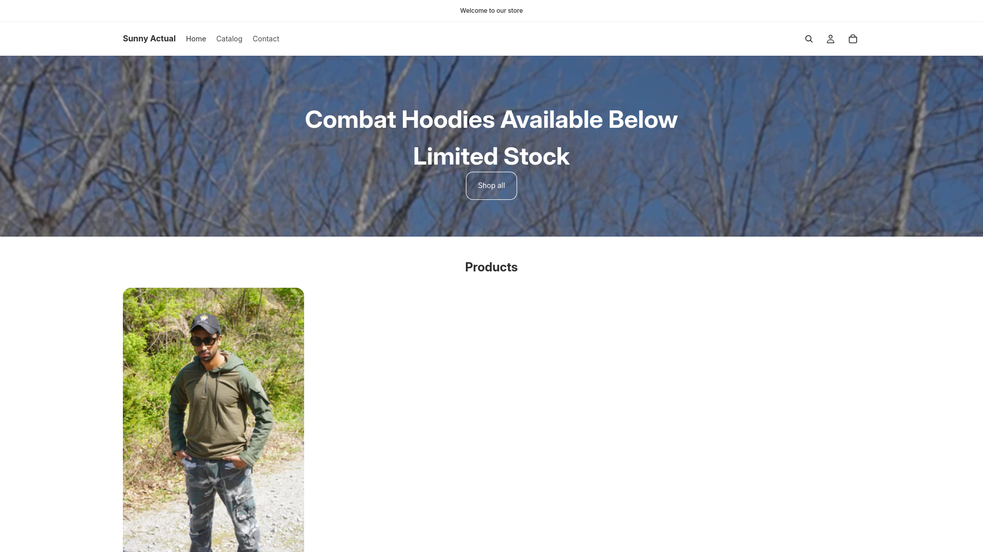 website screenshot of https://sunnyactual.com/