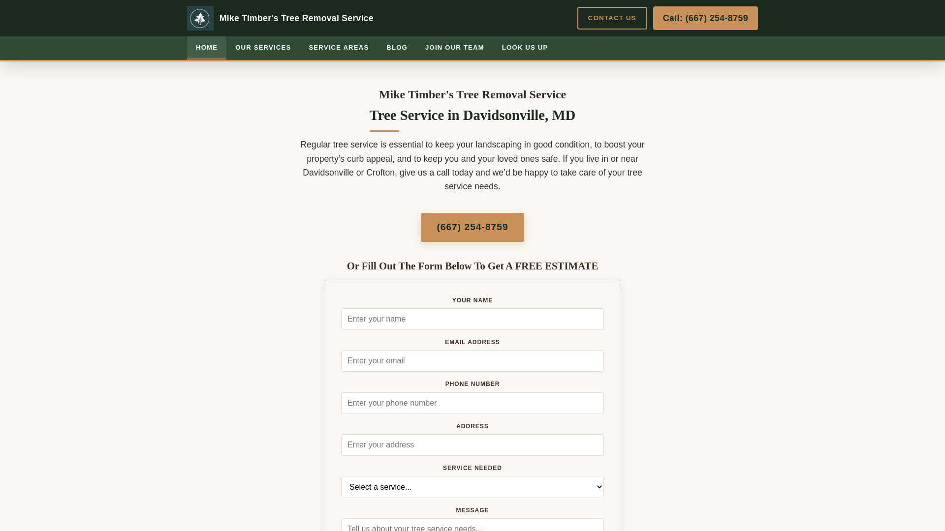 website screenshot of https://tree-removal-davidsonville.pages.dev/
