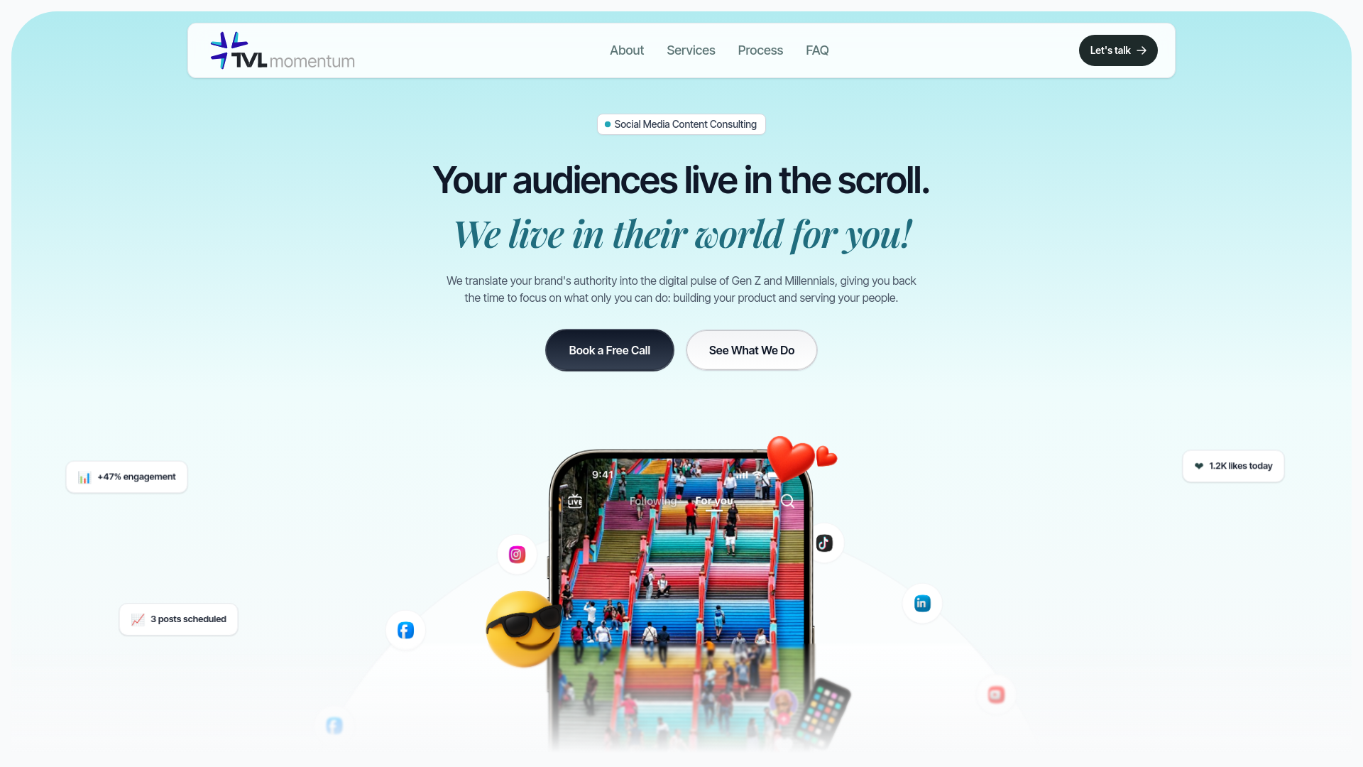 website screenshot of https://tvlmomentum.com