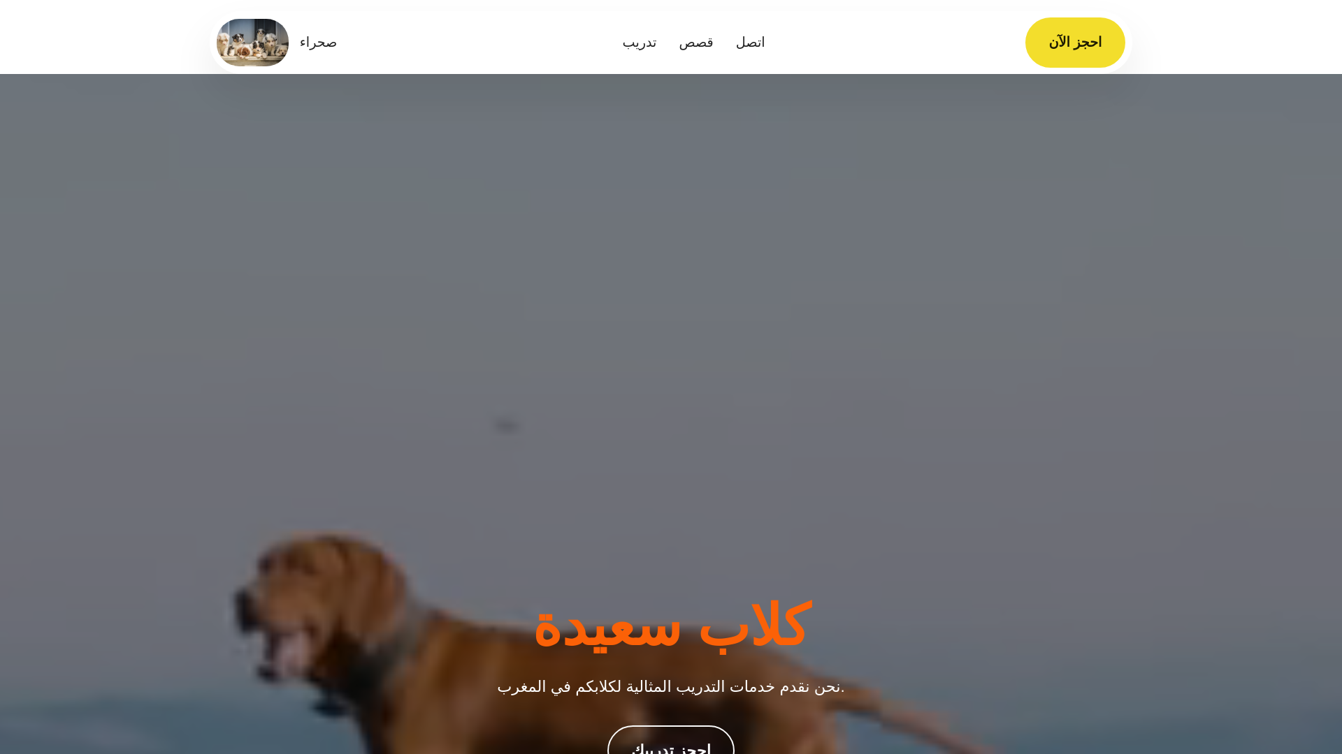 website screenshot of https://tumuroficme.info/