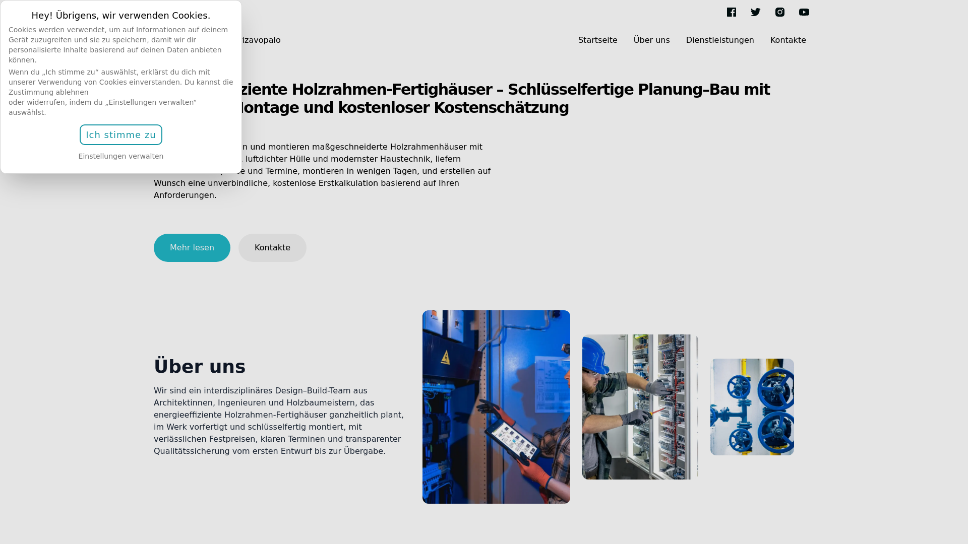 website screenshot of https://zorisanonovinarizavopalo.click/