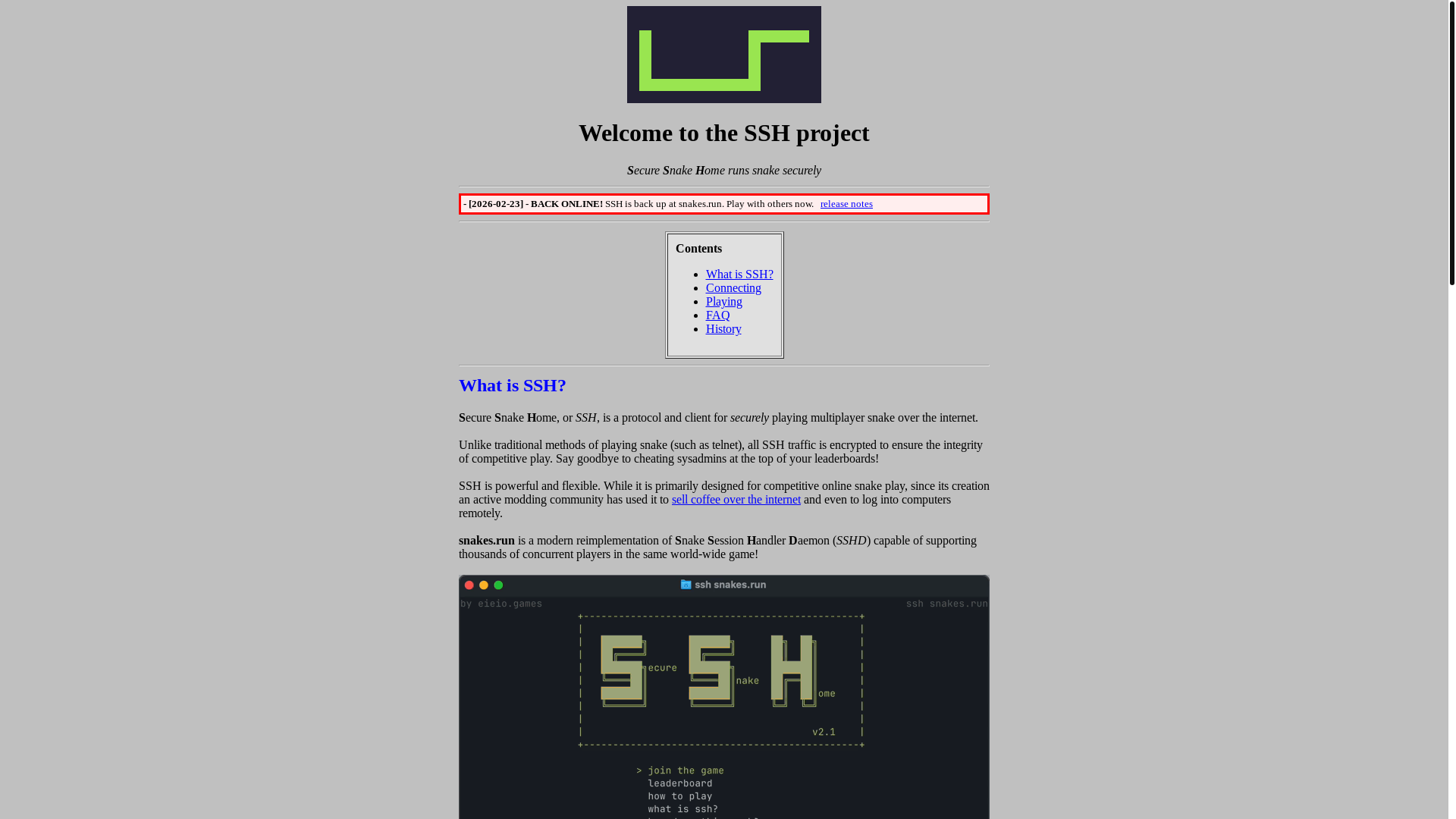 website screenshot of https://snakes-info-page.pages.dev/